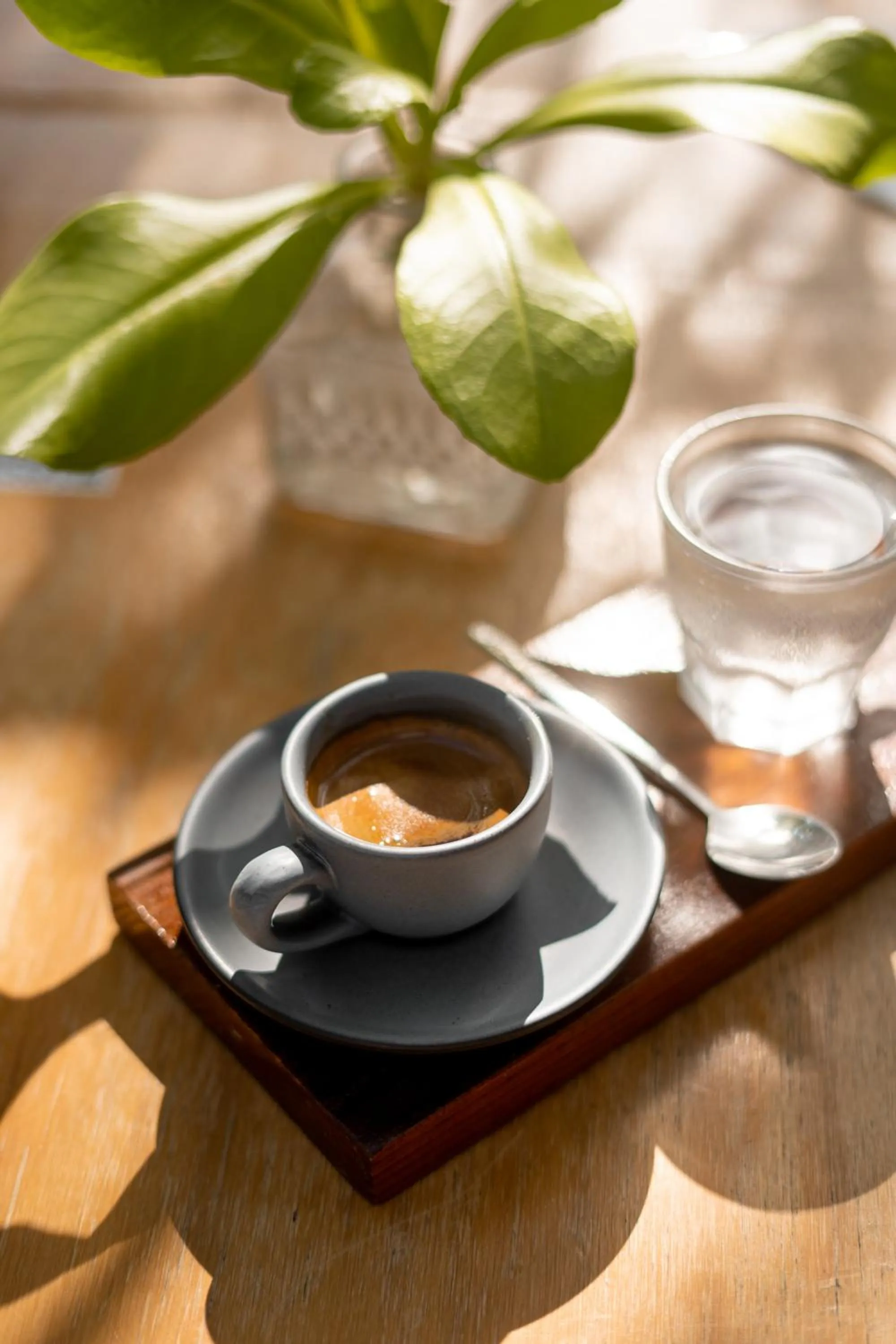 Restaurant/places to eat in La Diosa Kali Beach Front Hotel