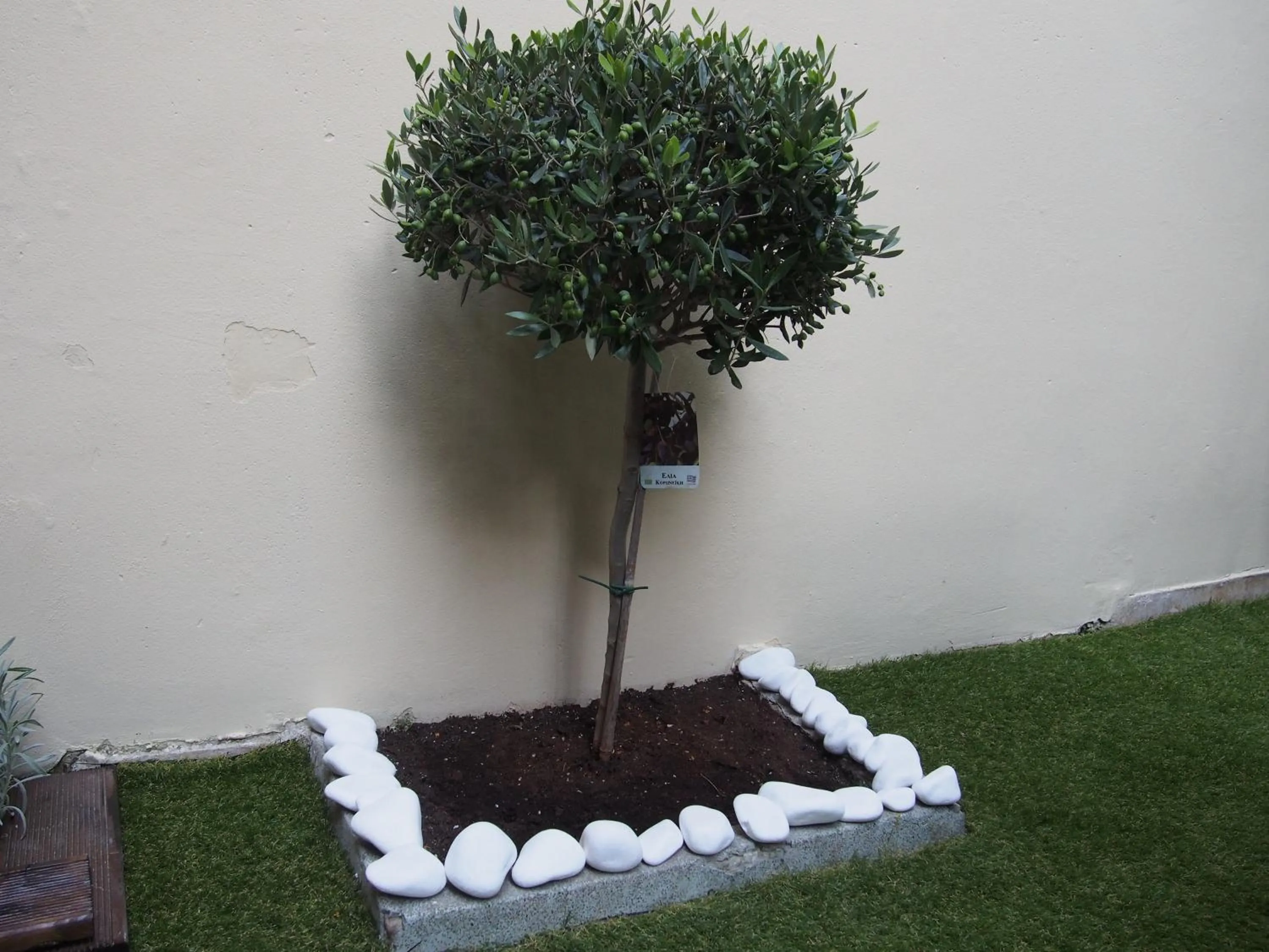 Patio in Under the shade of Acropolis by YHA