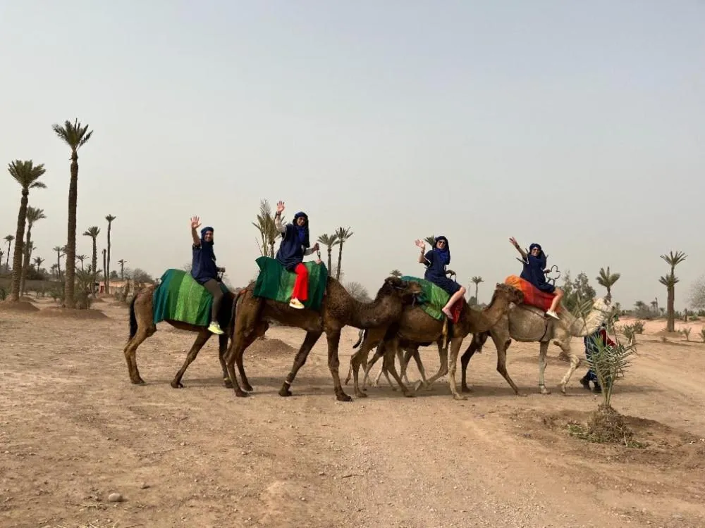 Activities in Riad N'S & Spa