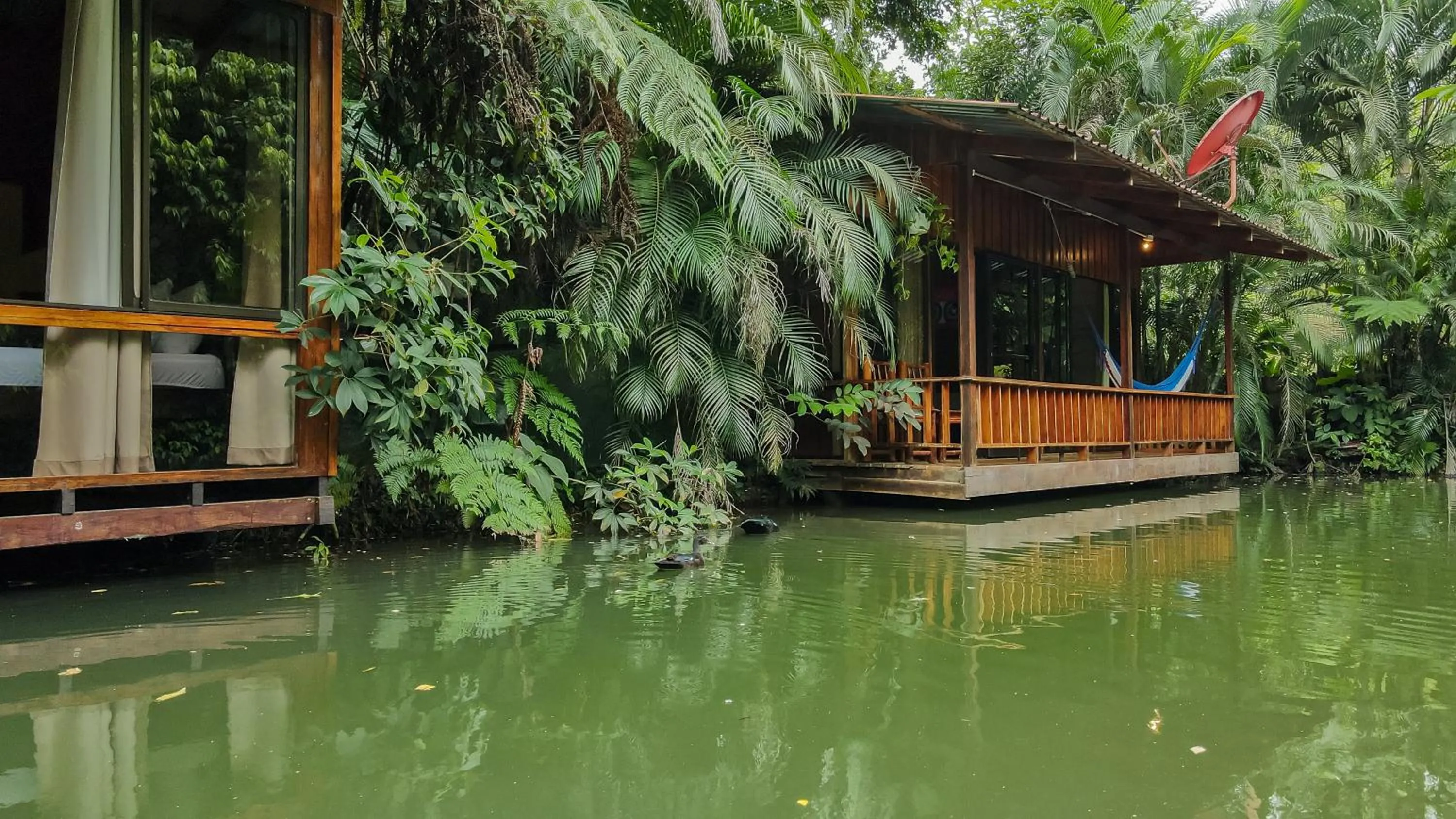 Lake view in Cabañas del Lago