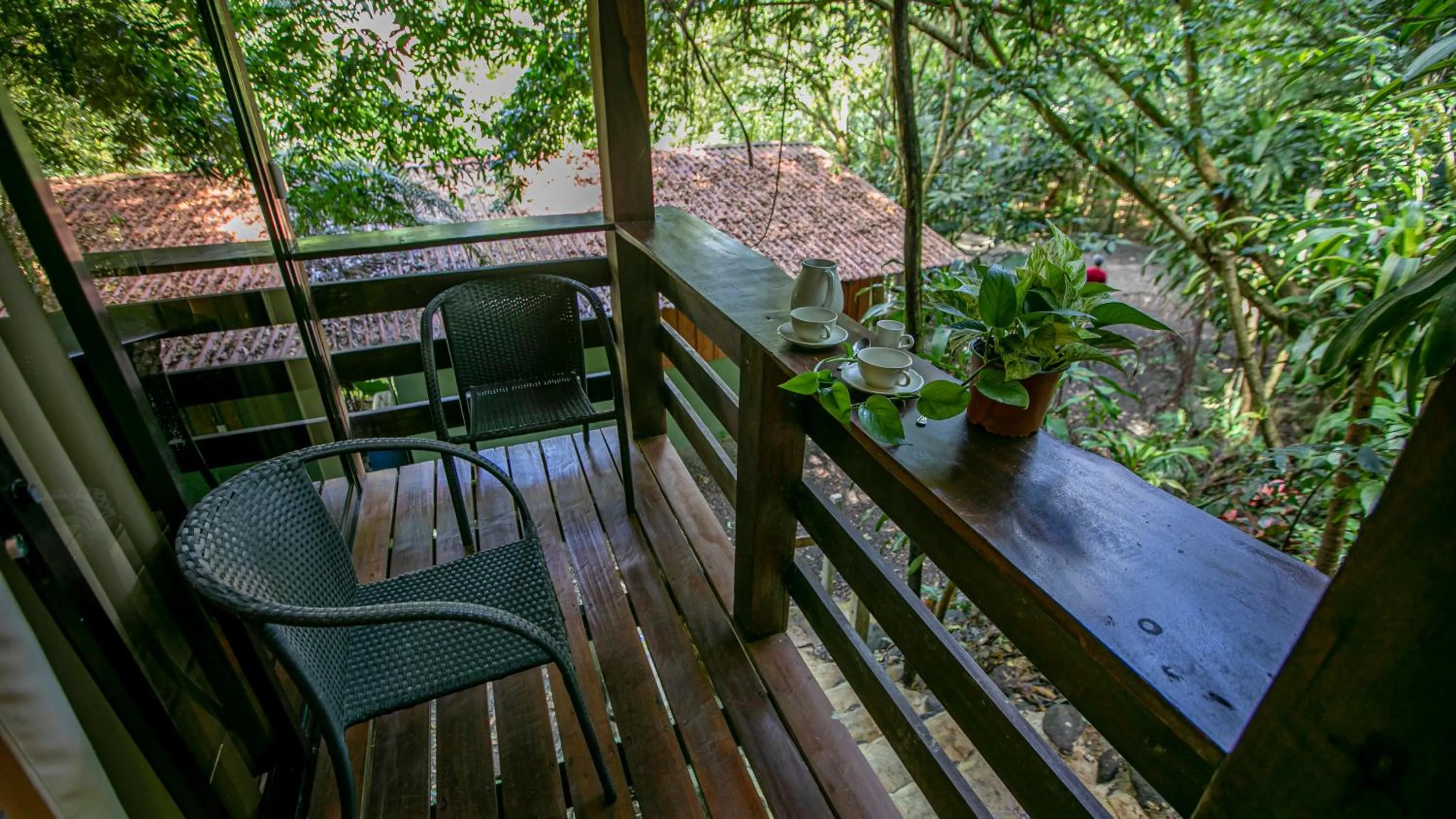 Garden view in Cabañas del Lago