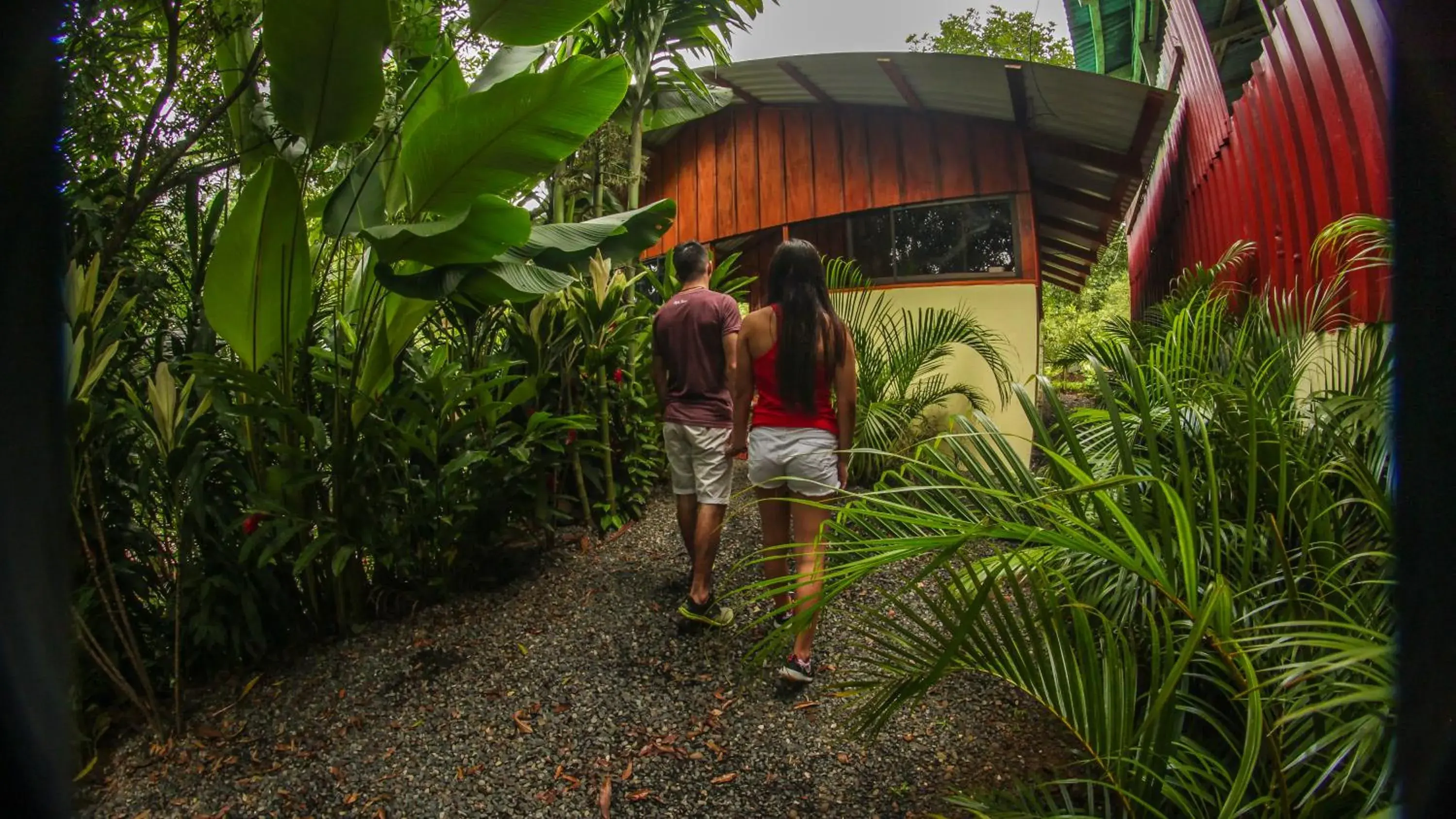 One-Bedroom House in Cabañas del Lago One-Bedroom House in Cabañas del Lago