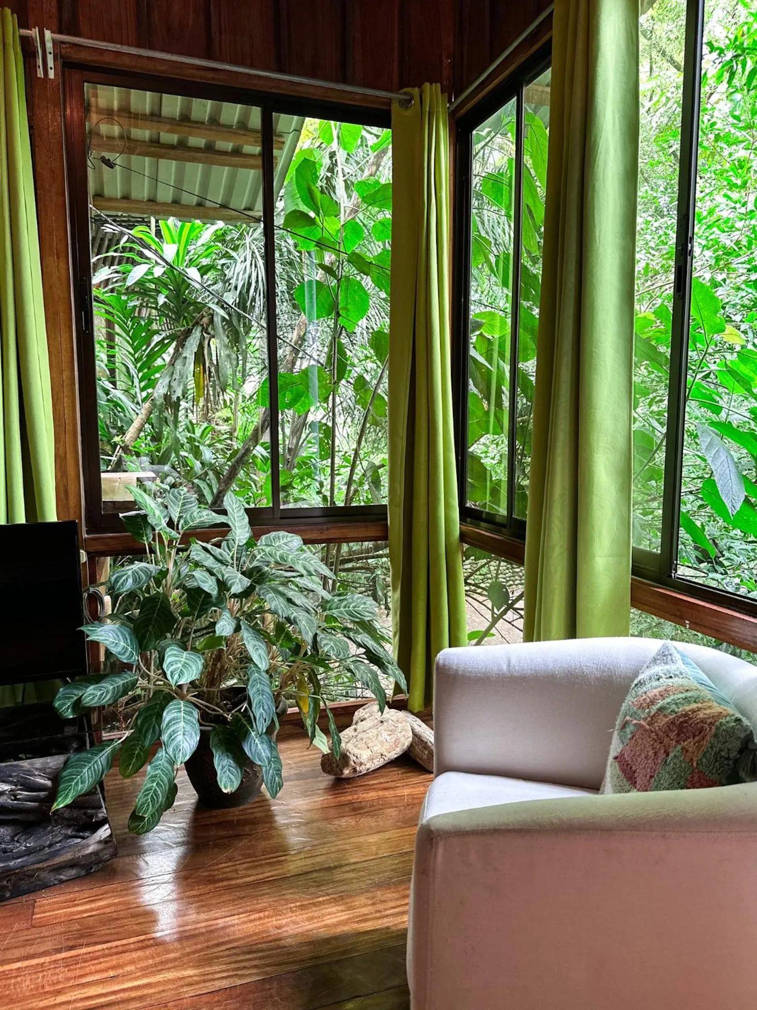 Garden view in Cabañas del Lago