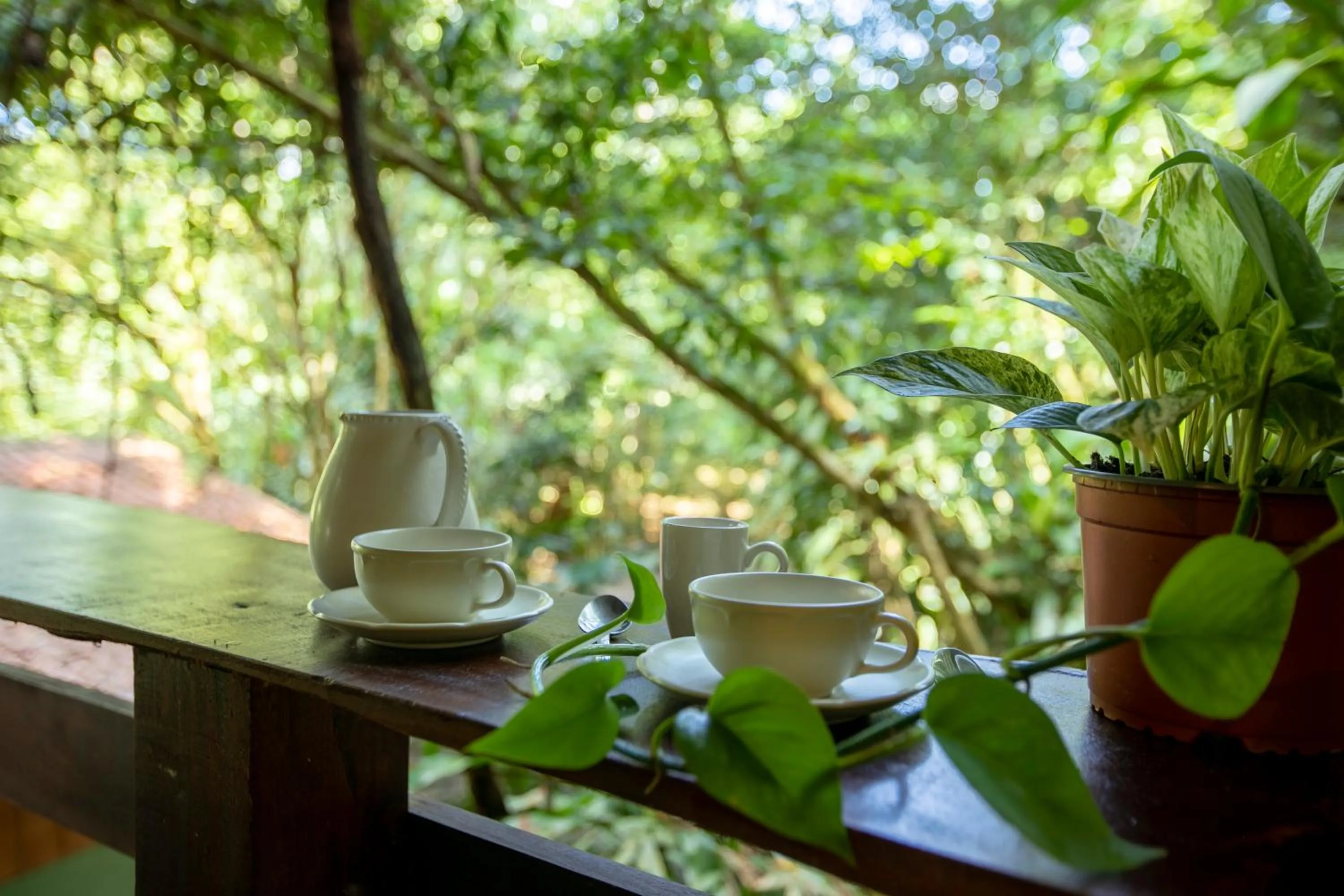 Garden view in Cabañas del Lago