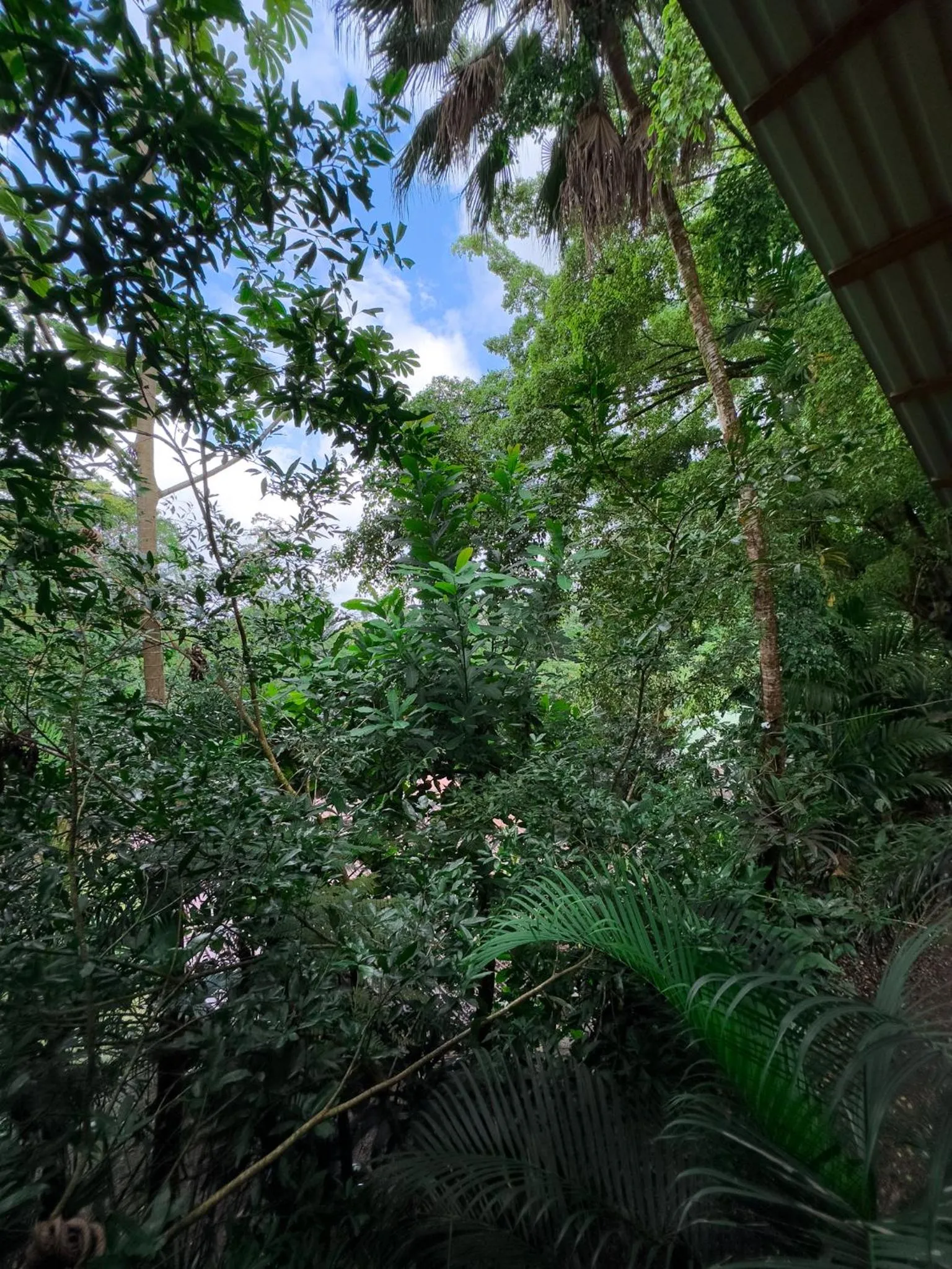 Off site in Cabañas del Lago