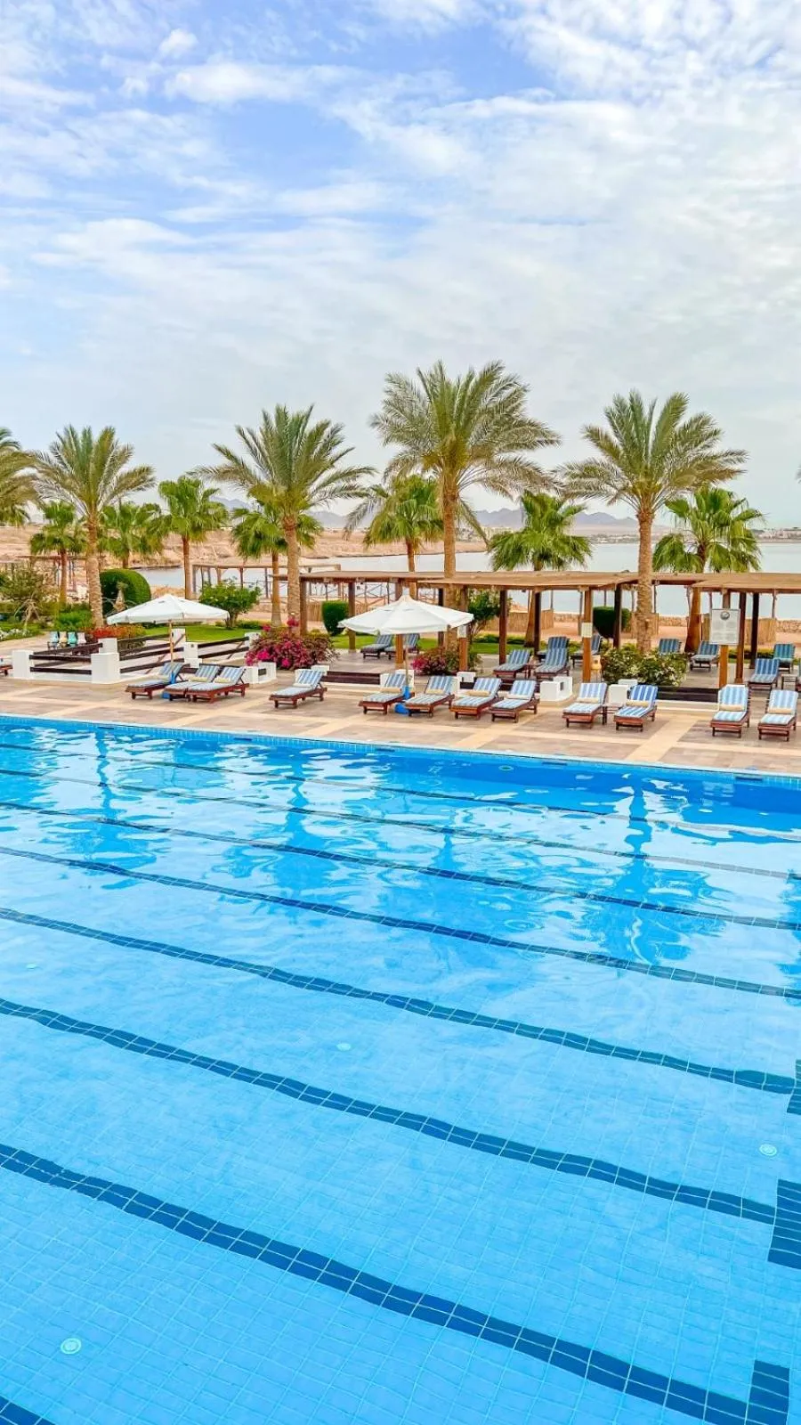 Day in Sharm Club Beach Resort