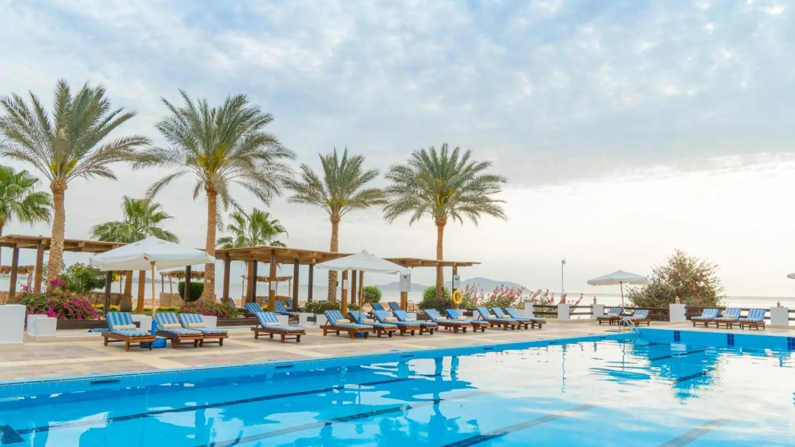 Swimming pool in Sharm Club Beach Resort