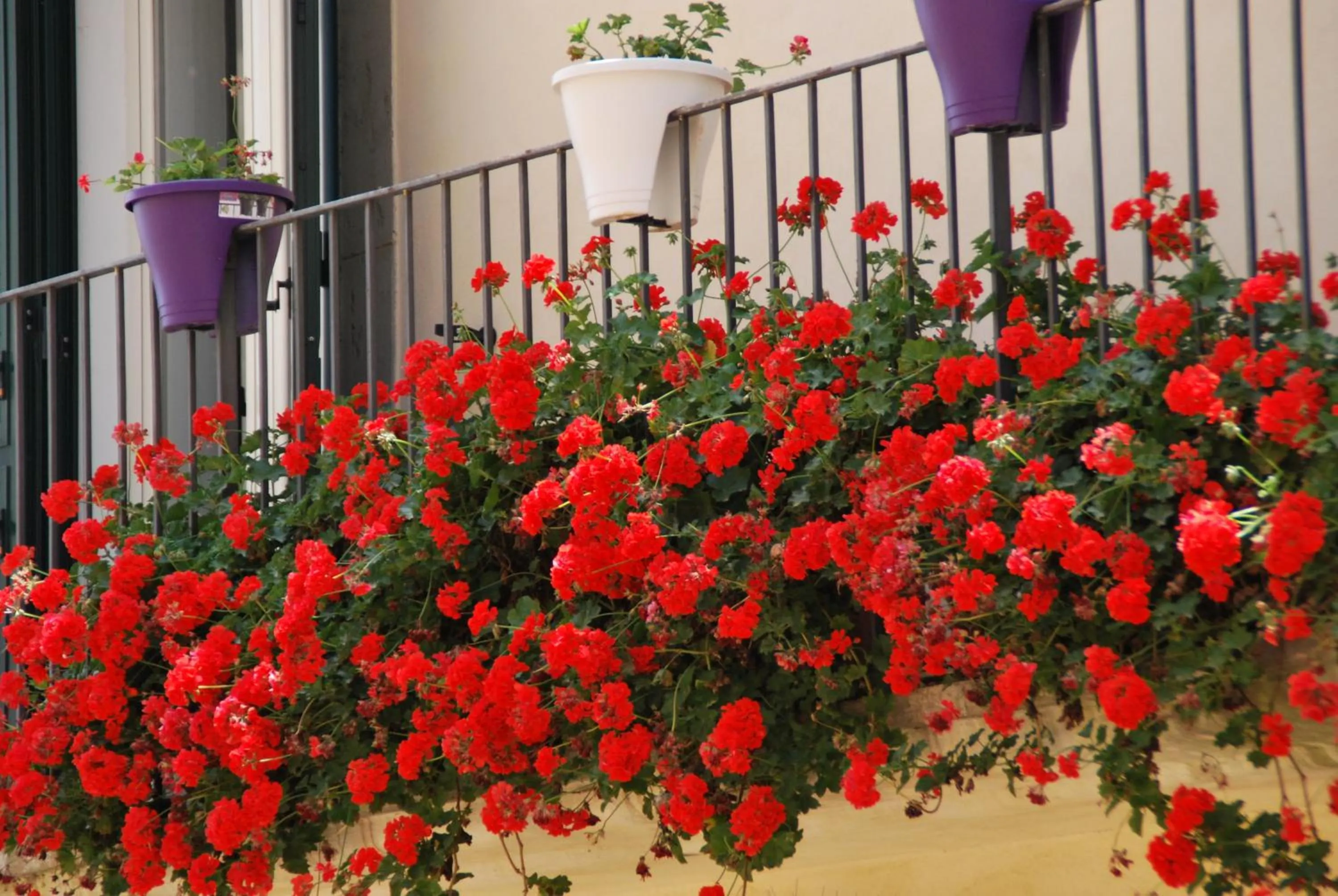 Balcony/Terrace in Casa tipica siciliana patronale home BedandBreakfast TreMetriSoprailCielo Camere con vista, colazione interna in terrazzo panoramico