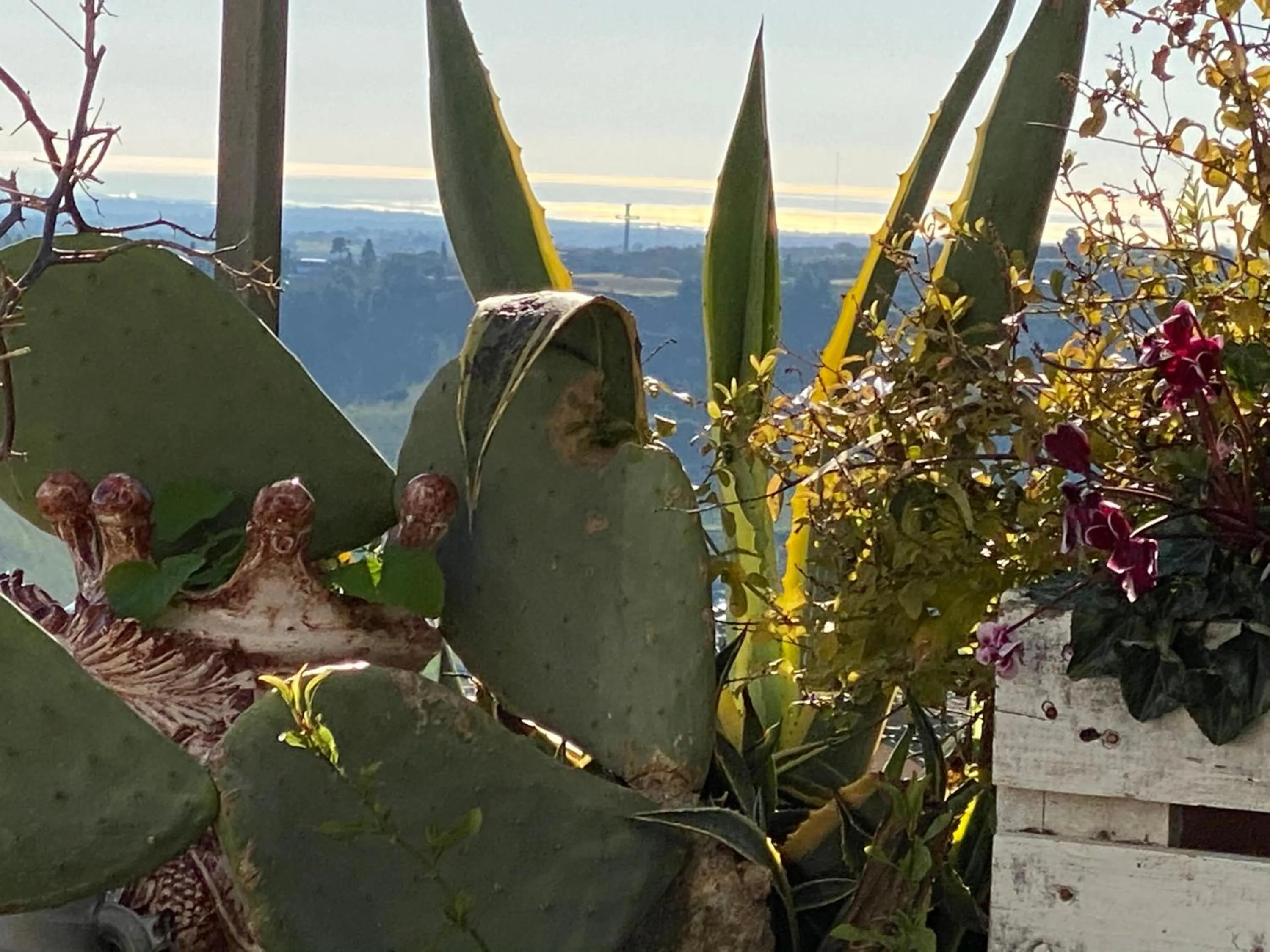 Bird's eye view in Casa tipica siciliana patronale home BedandBreakfast TreMetriSoprailCielo Camere con vista, colazione interna in terrazzo panoramico
