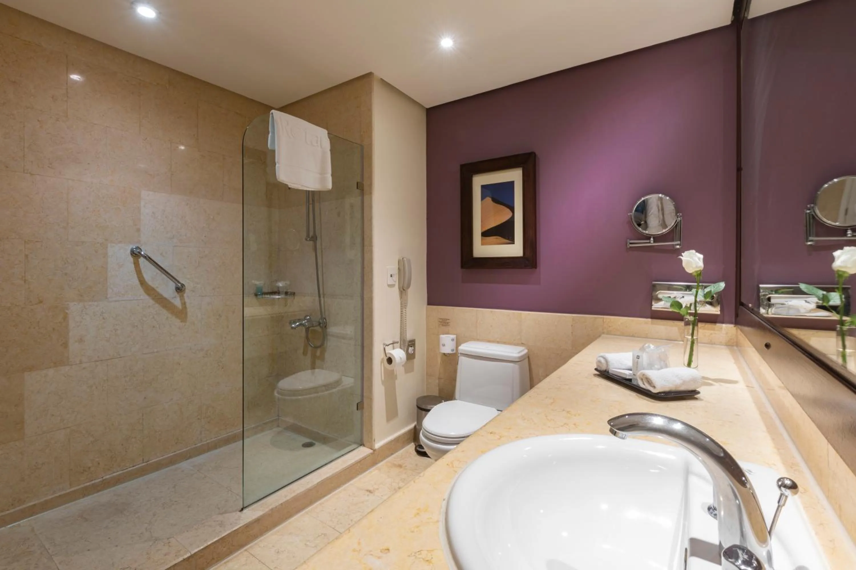 Shower in Grand Rotana Resort & Spa