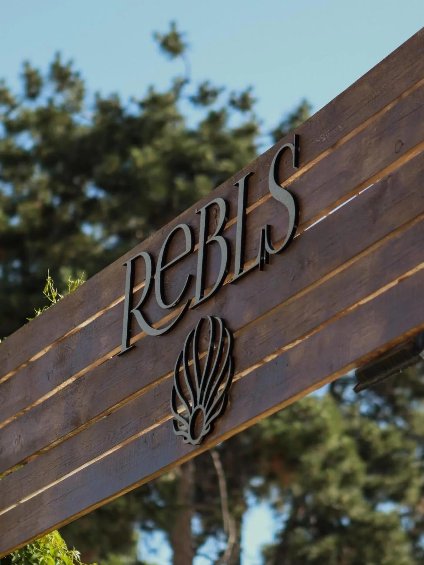 Swimming pool in Argisht Partez Hotel ALL INCLUSIVE & BEACH BAR REBLS