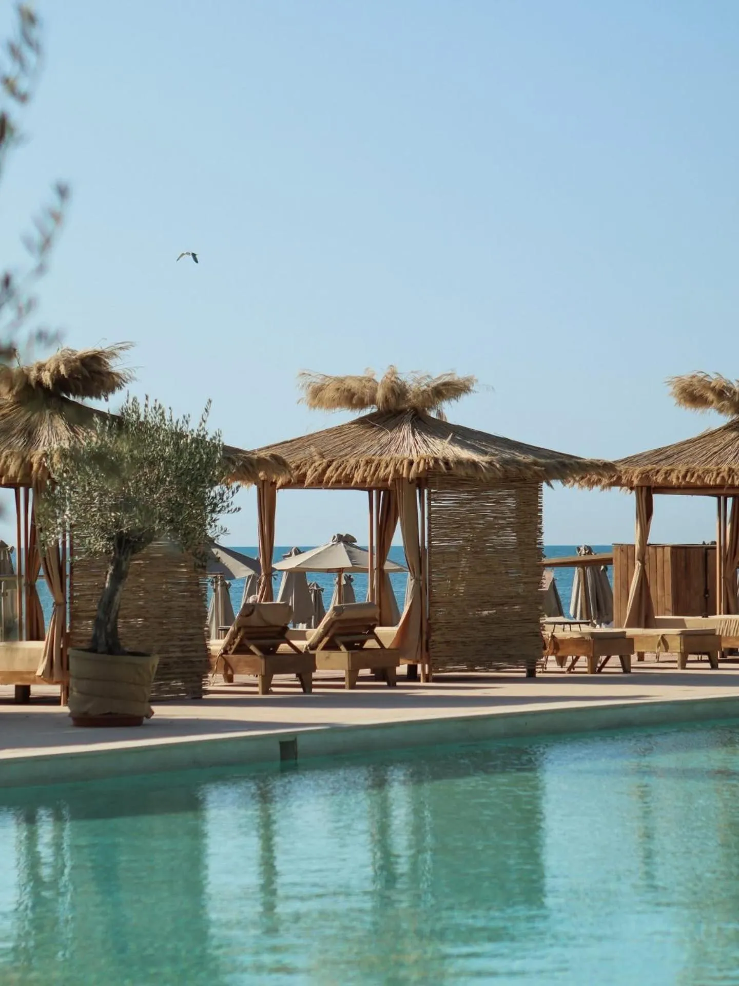 Swimming pool in Argisht Partez Hotel ALL INCLUSIVE & BEACH BAR REBLS