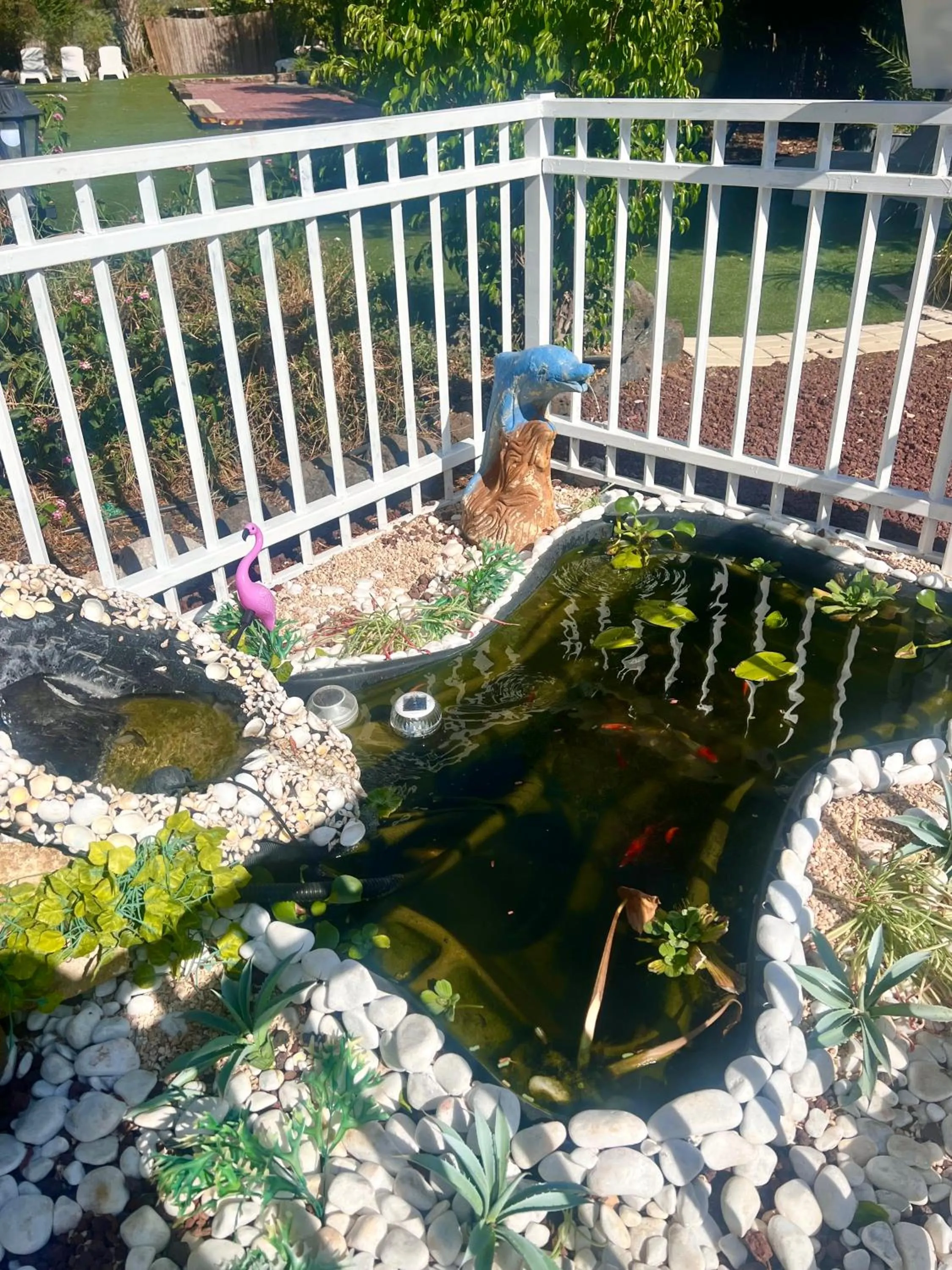 Magical in the Galilee