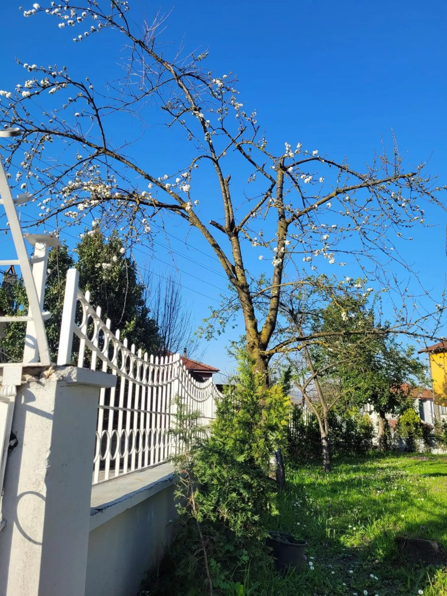 Butik Hotel Maşukiye