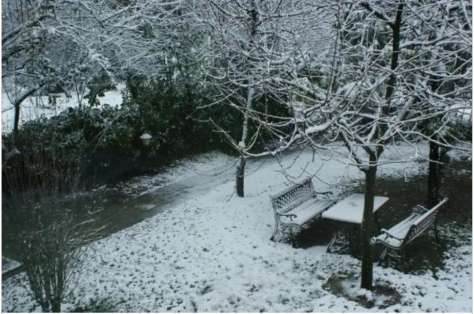 Natural landscape in Butik Hotel Maşukiye