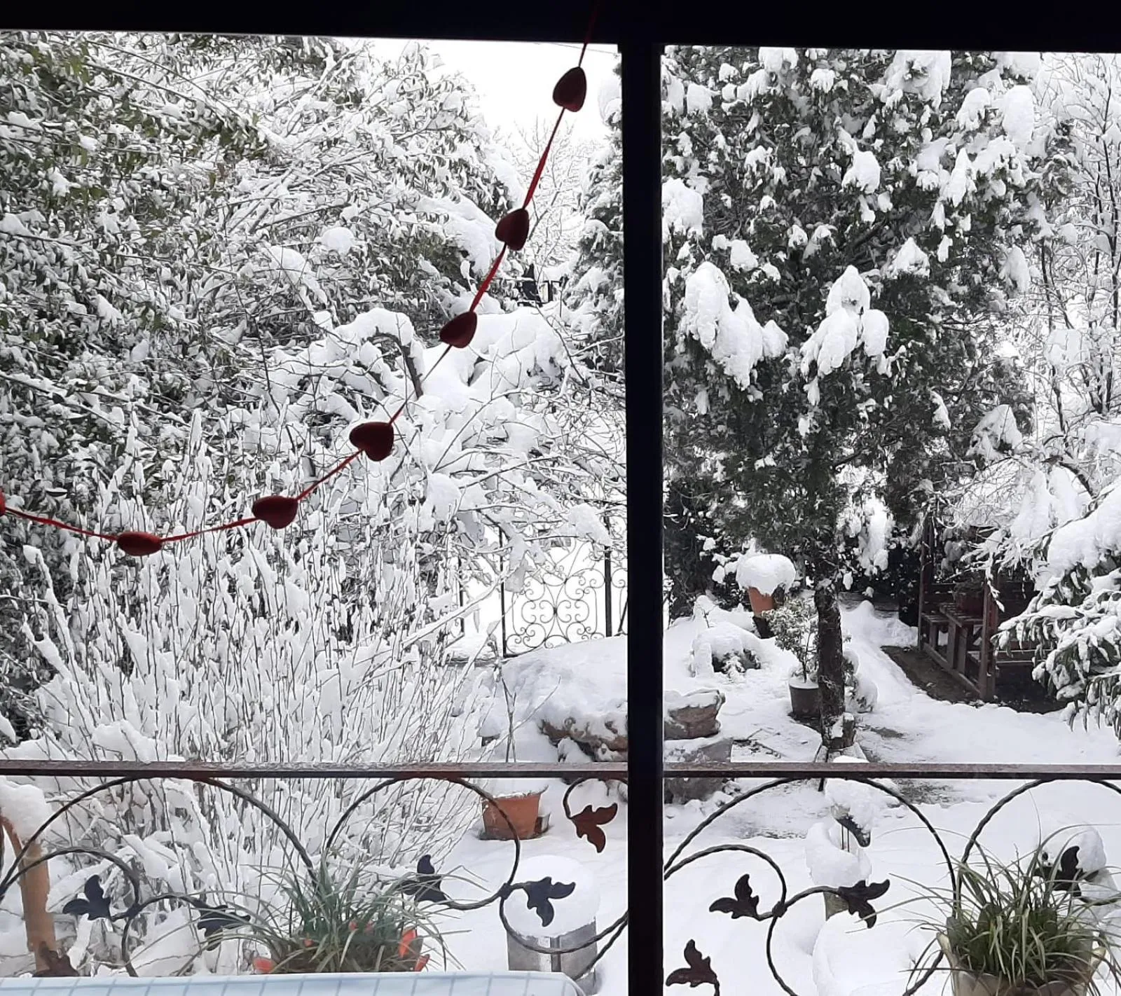 Butik Hotel Maşukiye