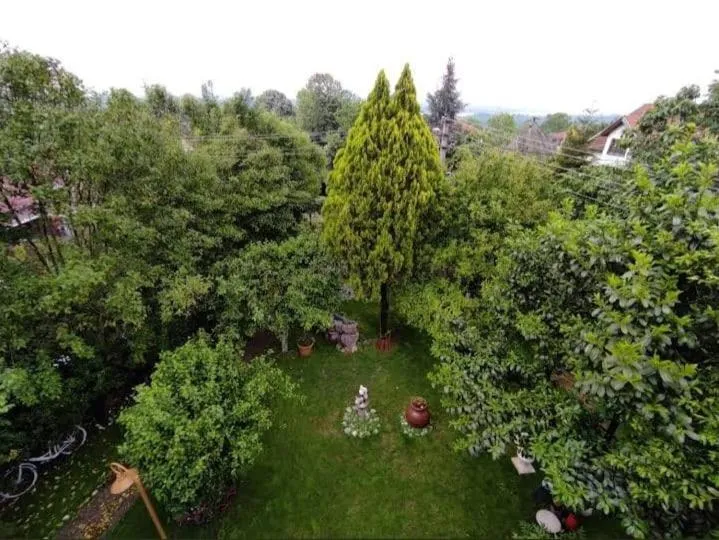 Butik Hotel Maşukiye