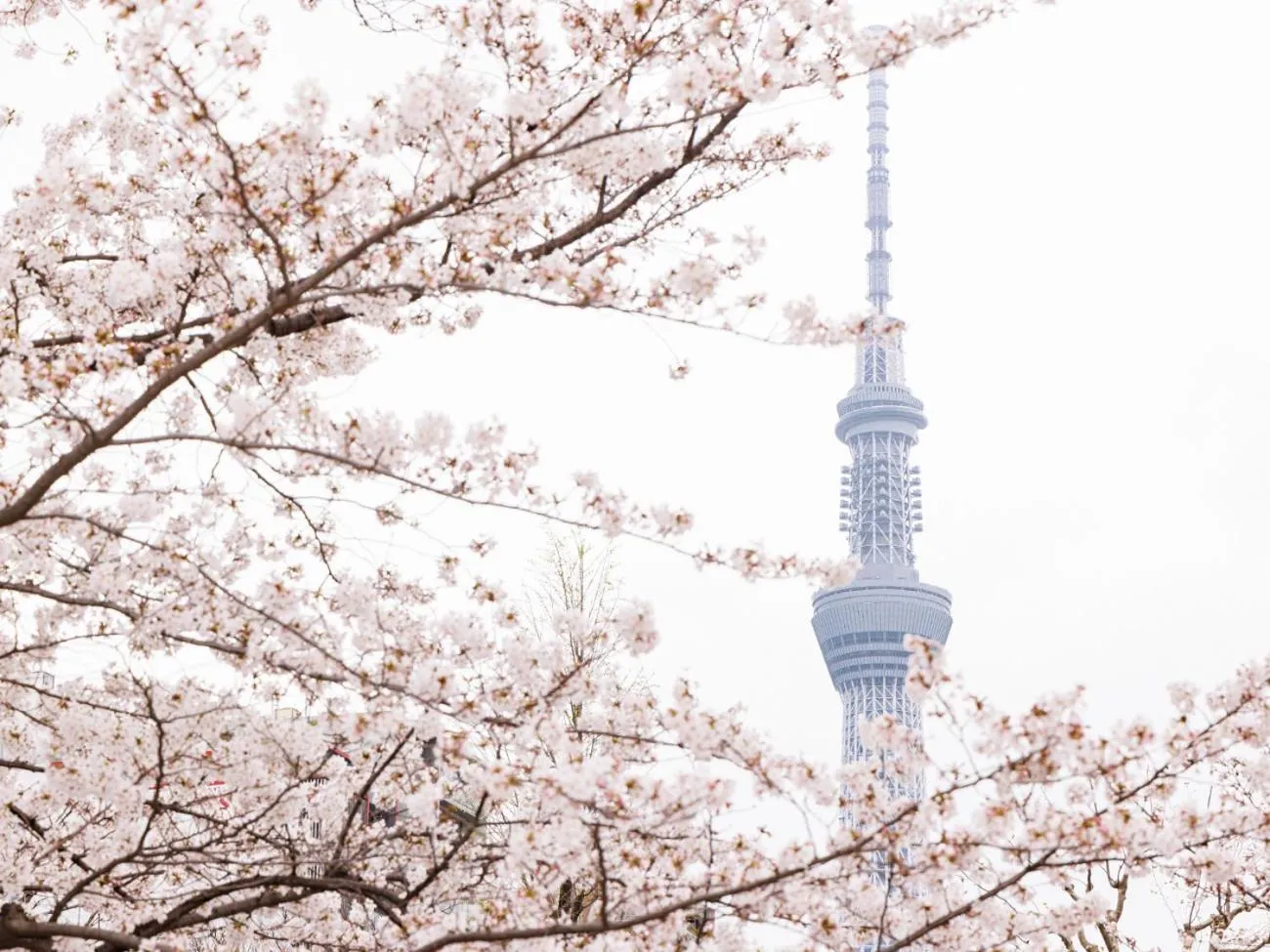 Nearby landmark in Lotte City Hotel Kinshicho