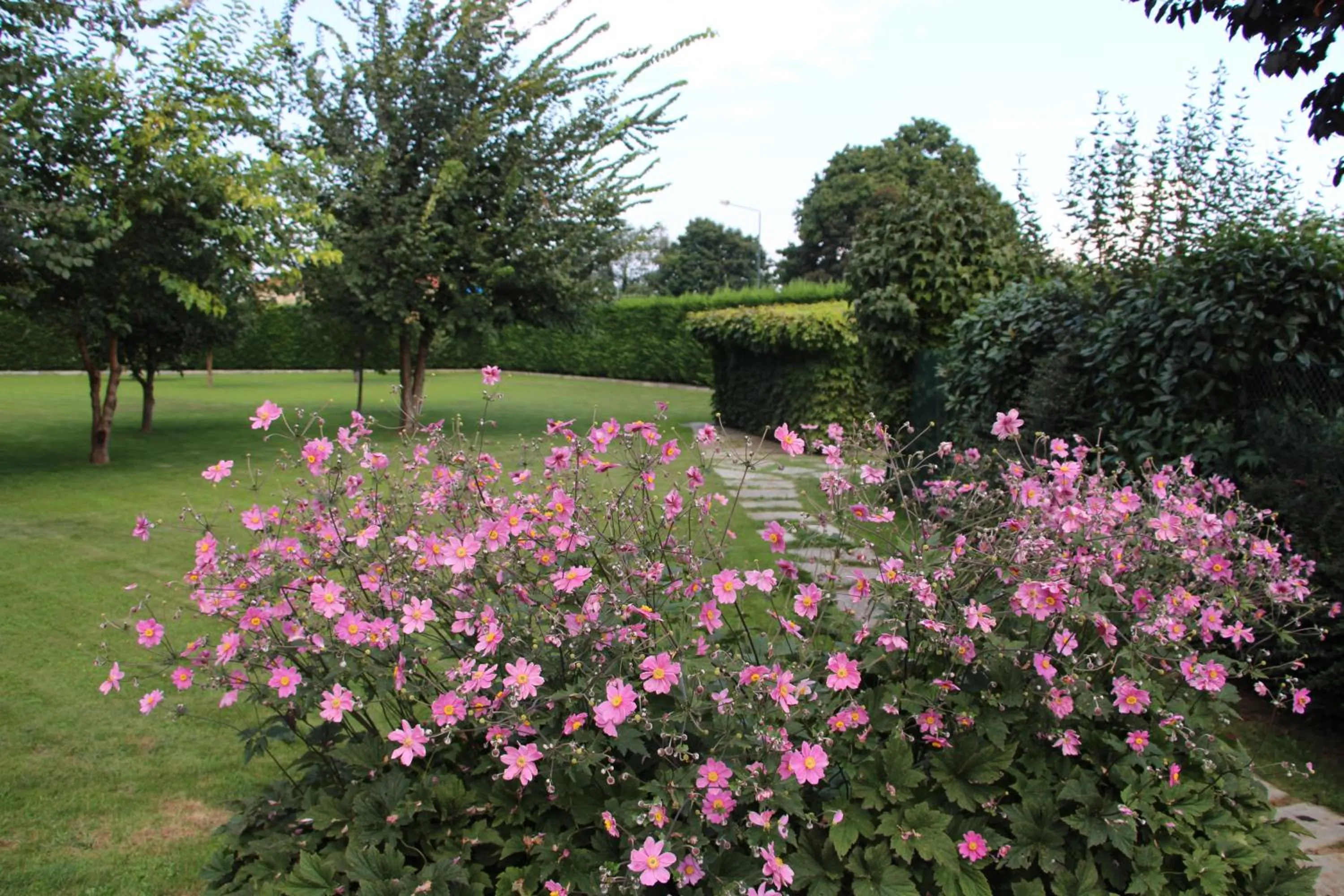 Garden view in Casa Torre Allera