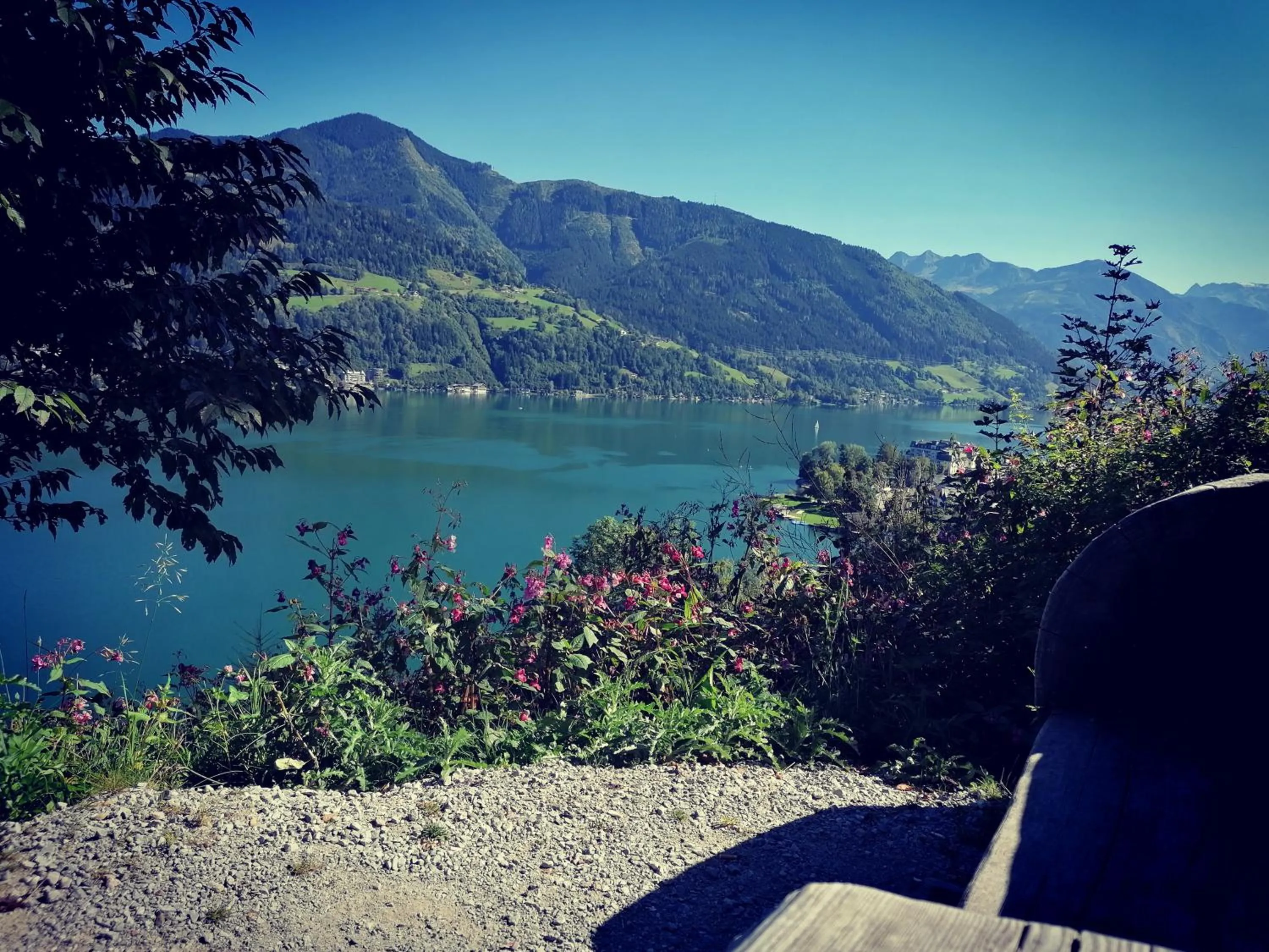 Natural landscape in Hotel Lebzelter