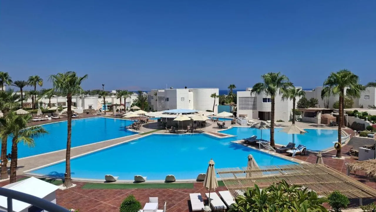 Swimming pool in Sharm Reef Hotel