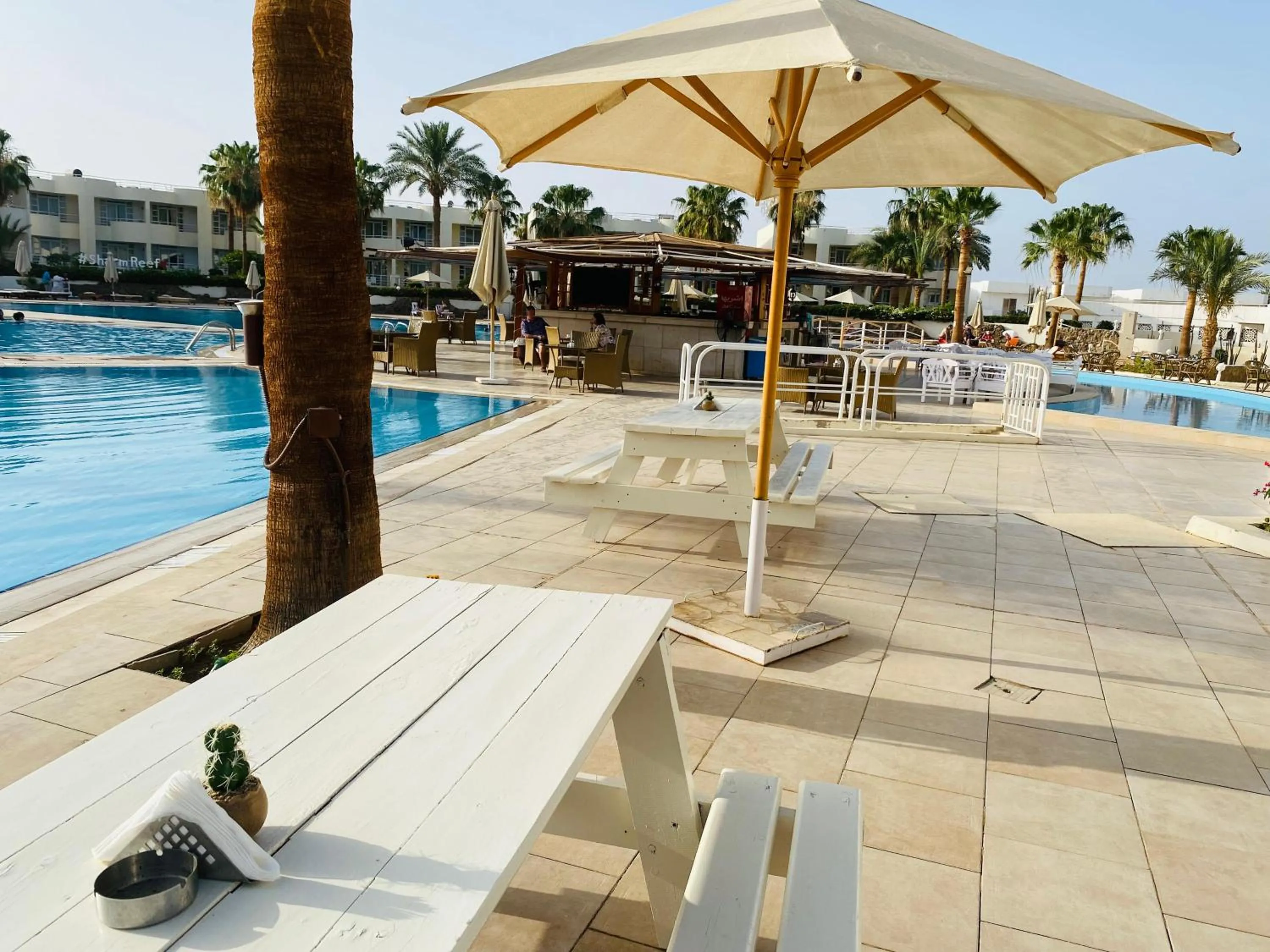 sunbed in Sharm Reef Hotel