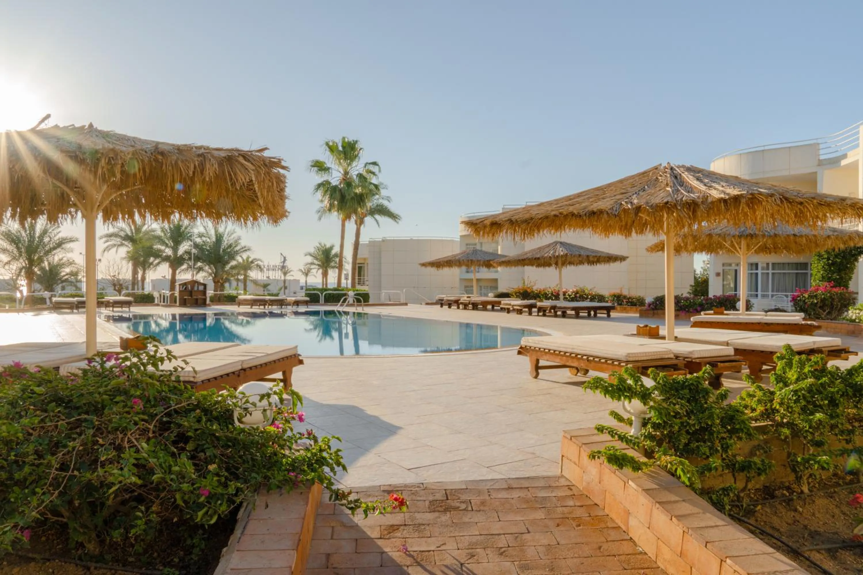 Day in Sharm Reef Hotel