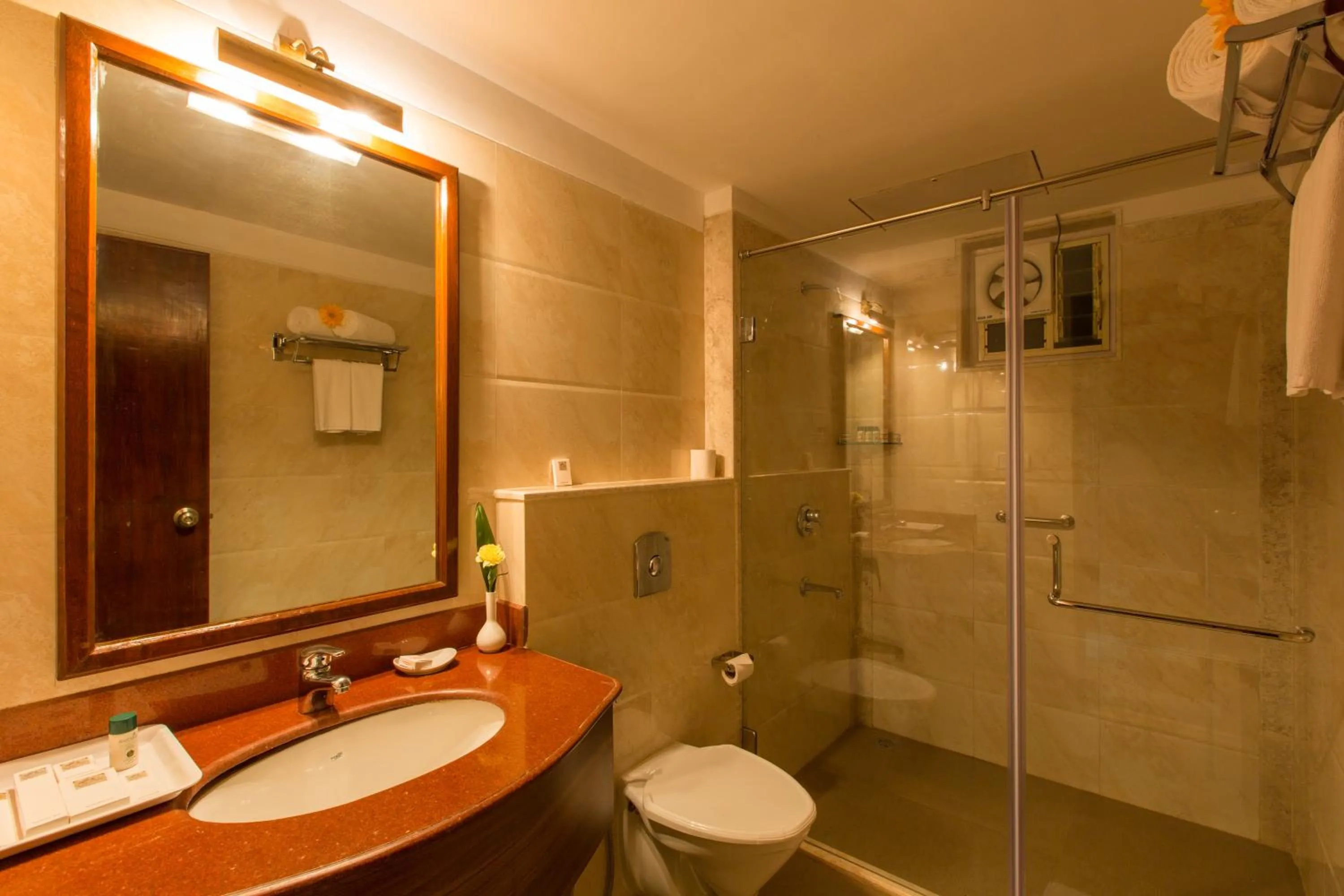 Bathroom in Viva Hotel Near Madgaon Railway Station