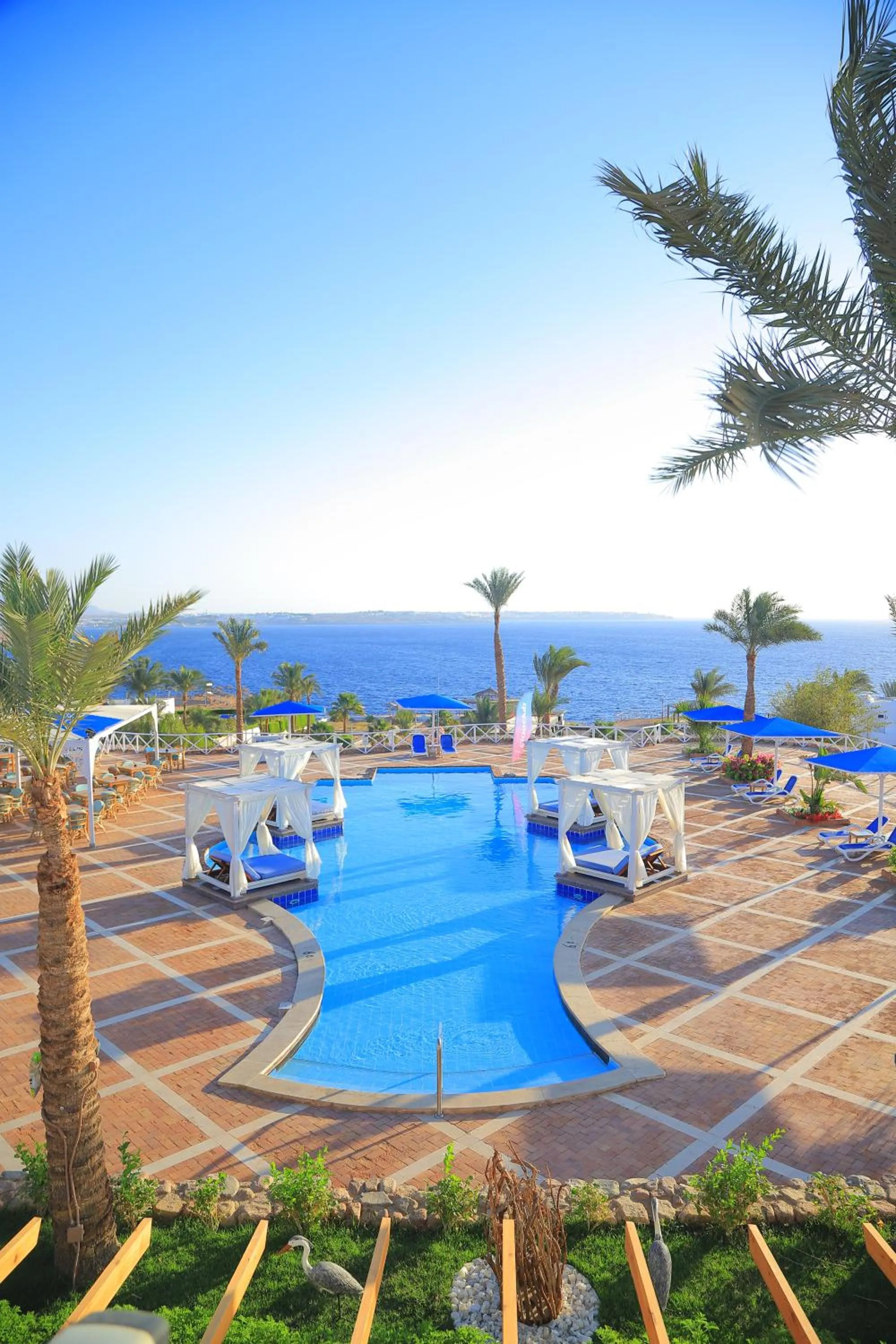 Swimming pool in Club Reef Resort & Spa