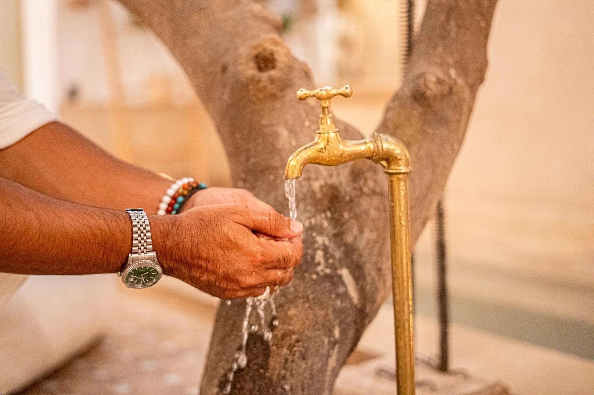 Patio in Riad Les Orangers D'alilia
