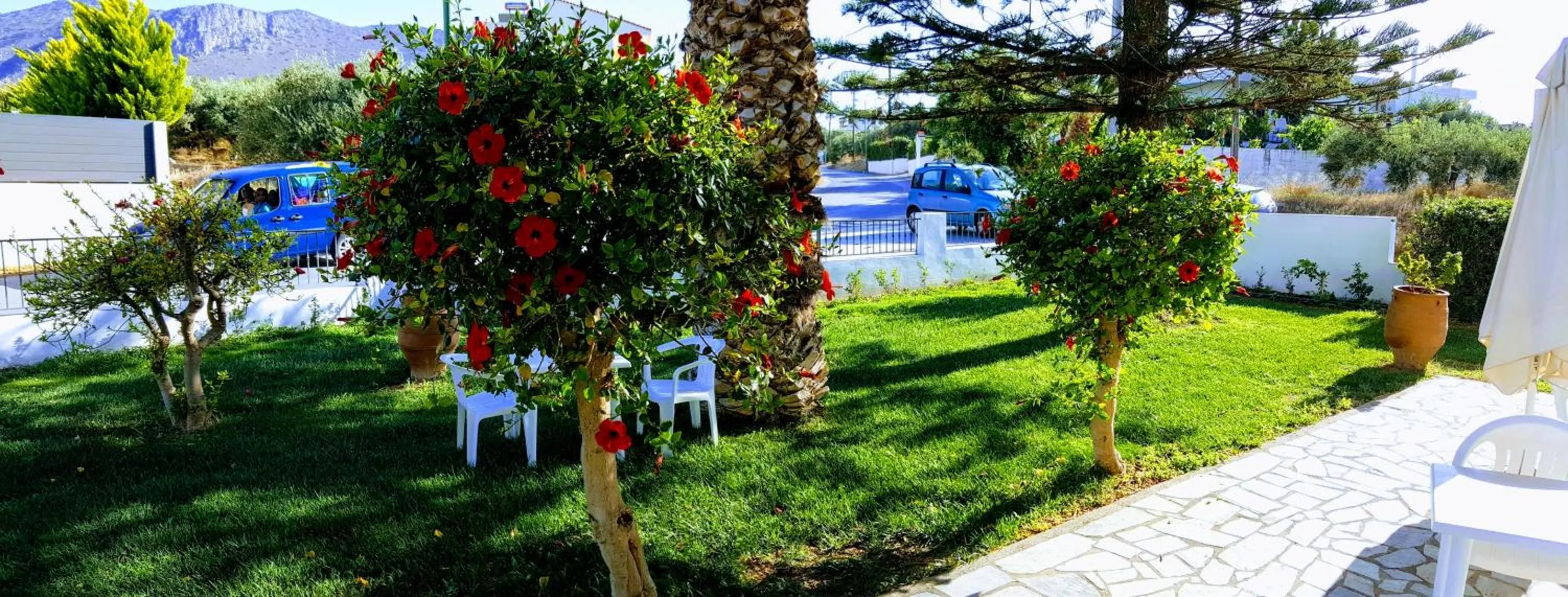 Garden in Mastorakis Hotel and Studios