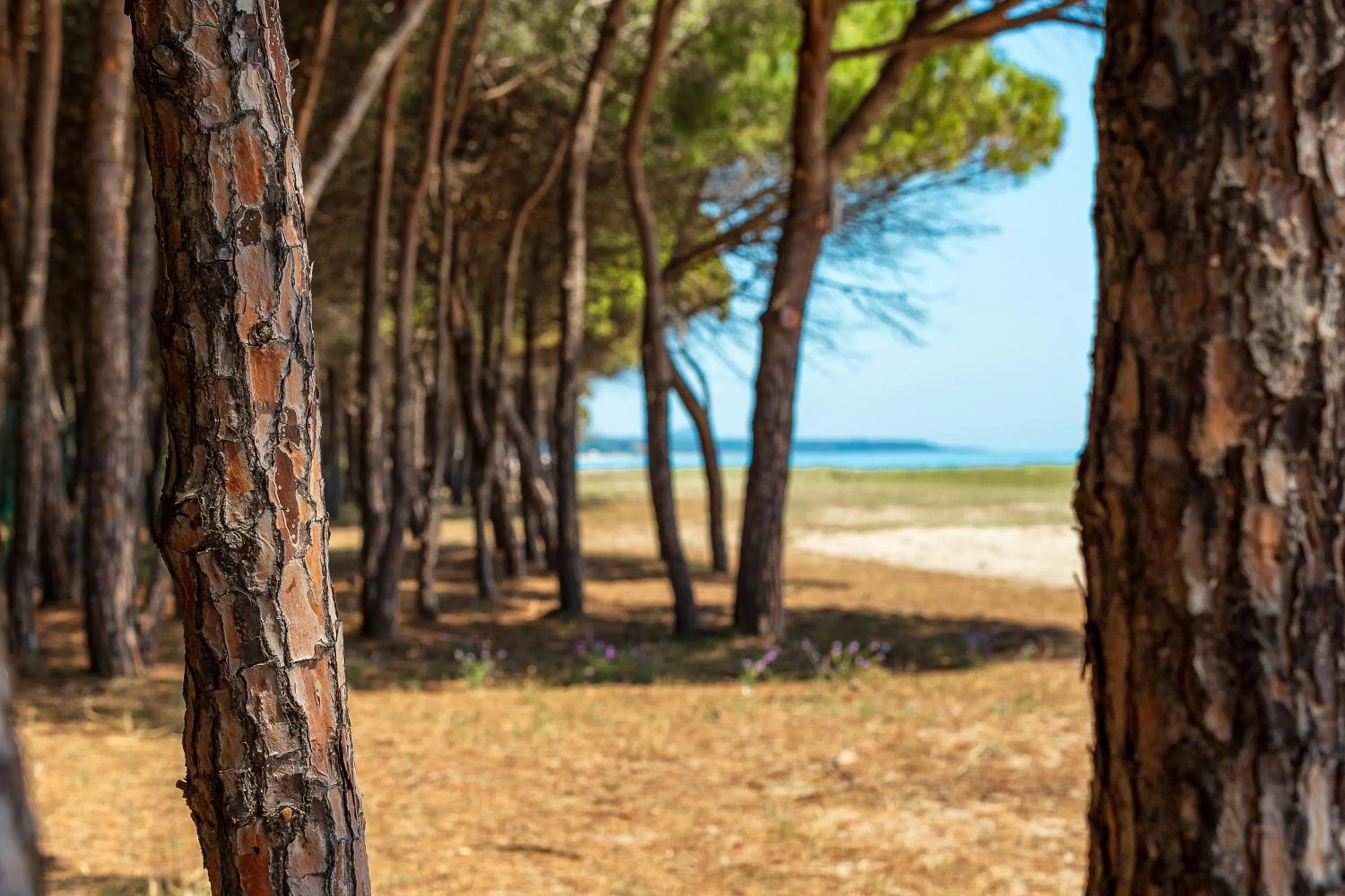 Natural landscape in Corte Bianca - Adults Only & SPA - Bovis Hotels