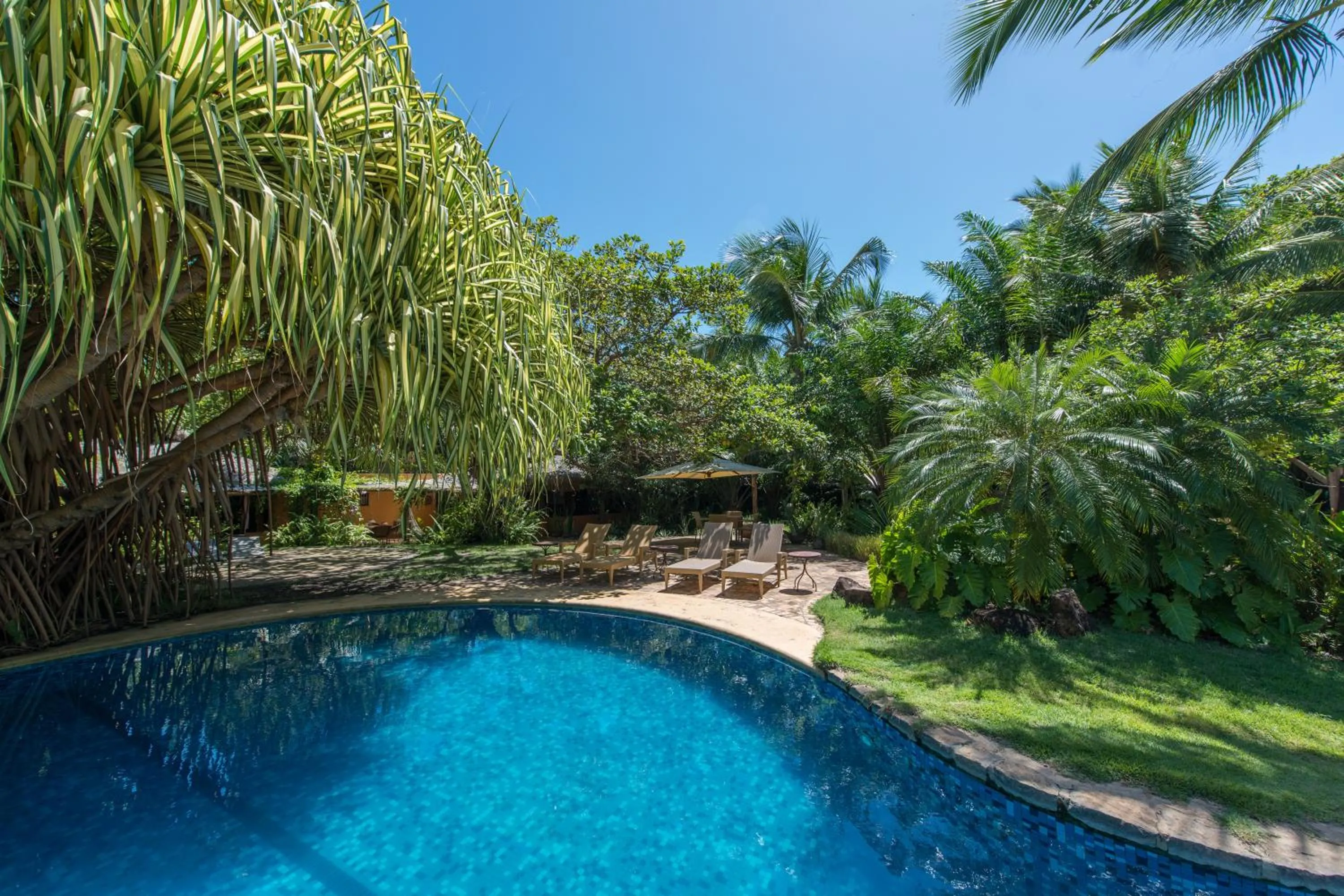 Swimming pool in Toca da Coruja