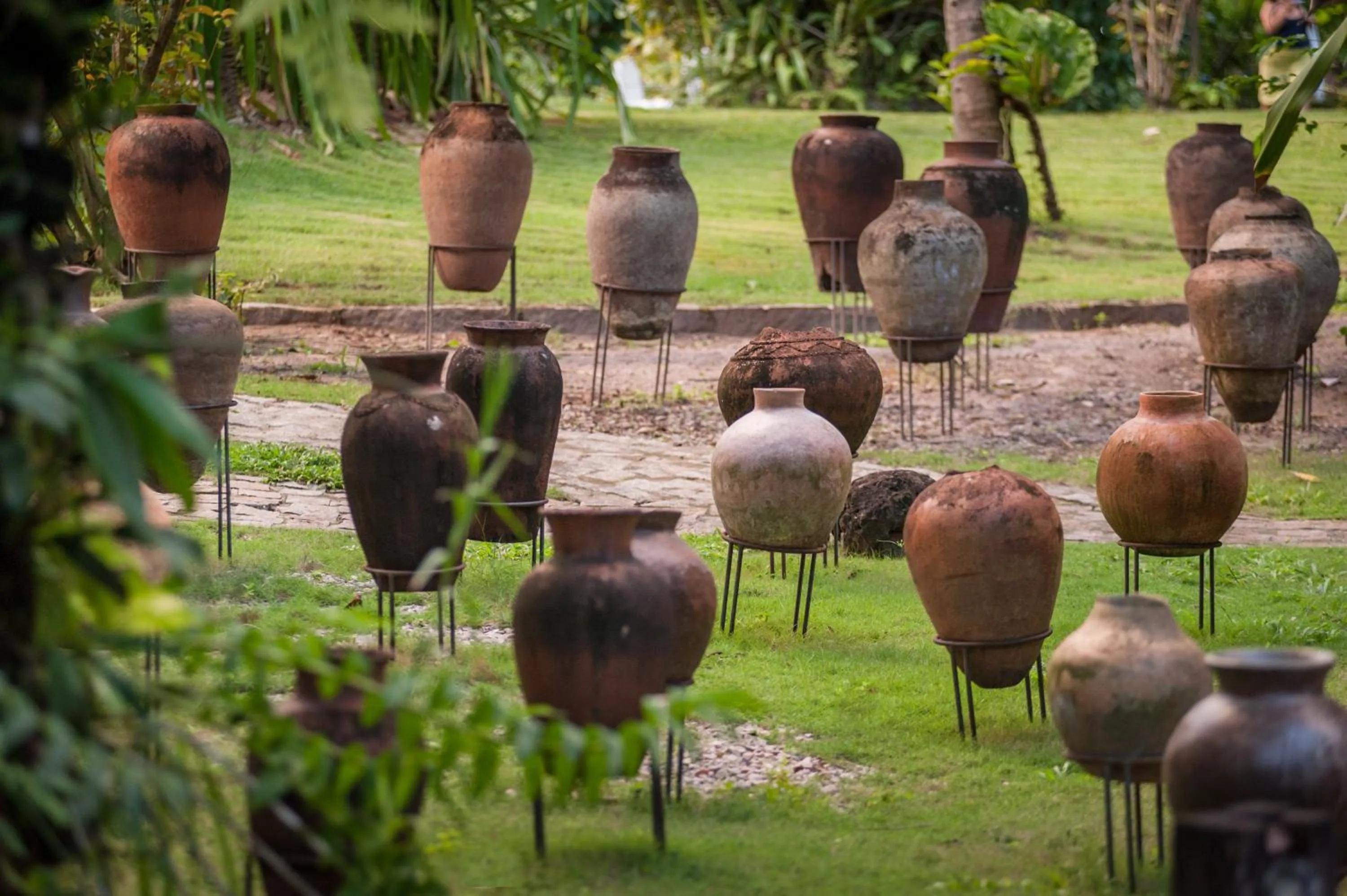 Garden in Toca da Coruja