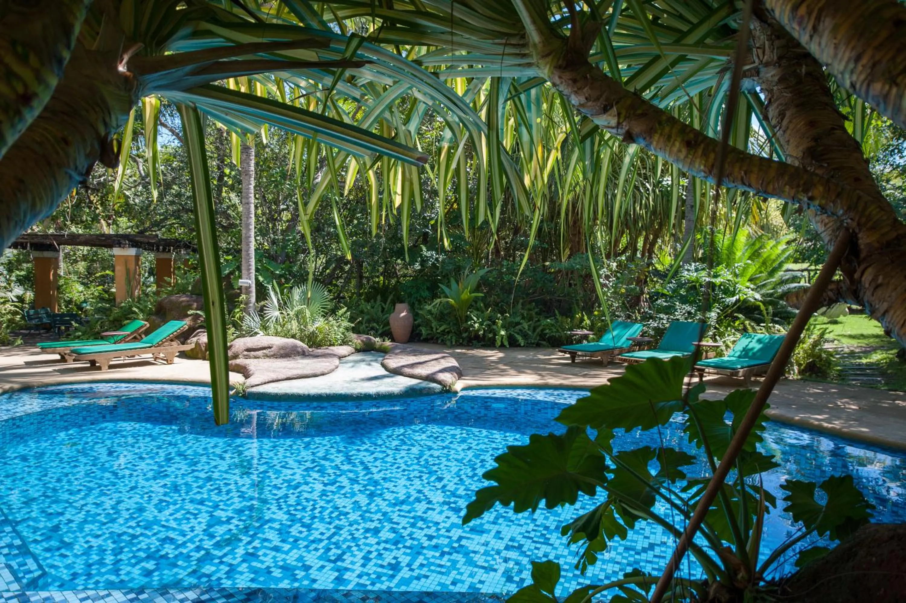 Swimming pool in Toca da Coruja