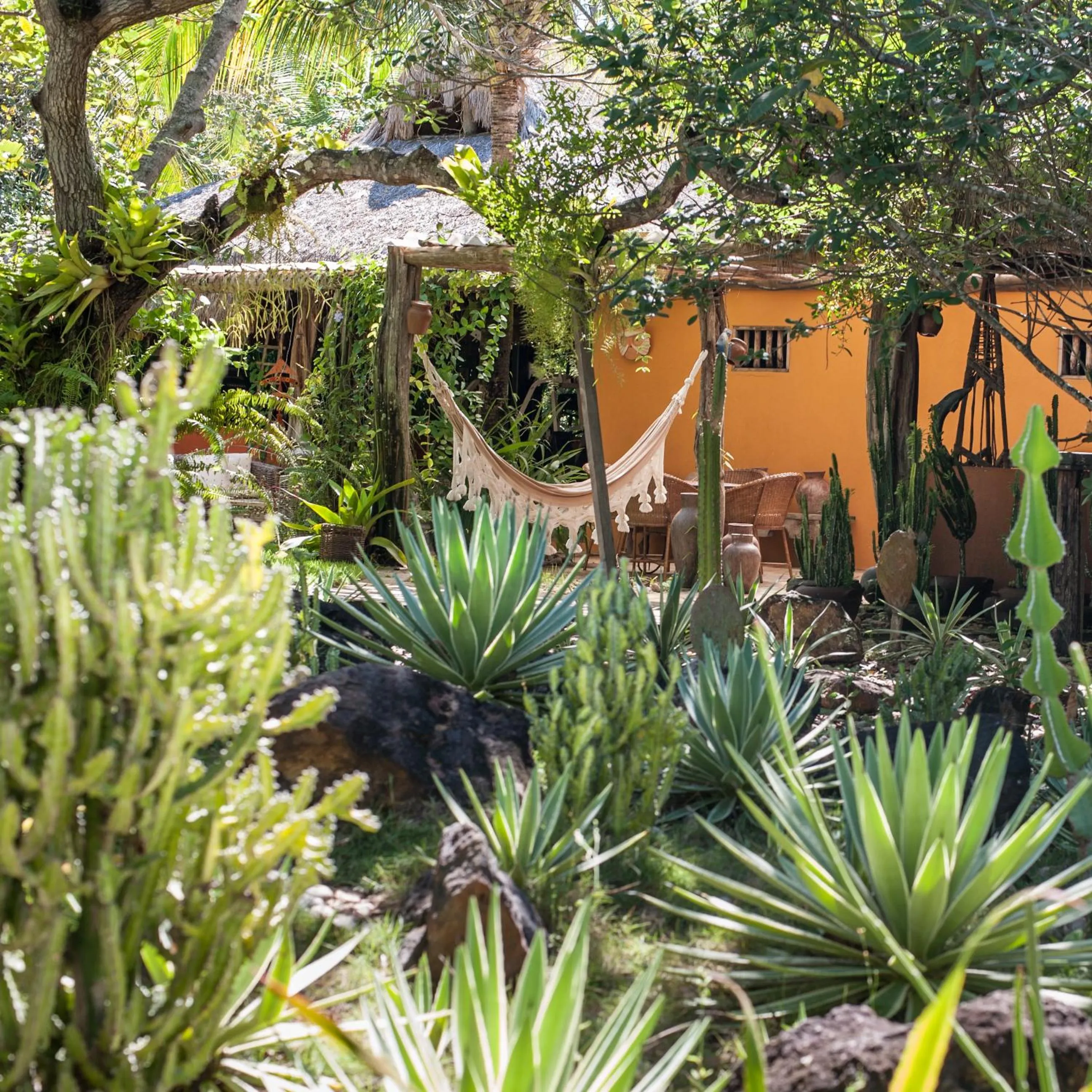 Garden in Toca da Coruja