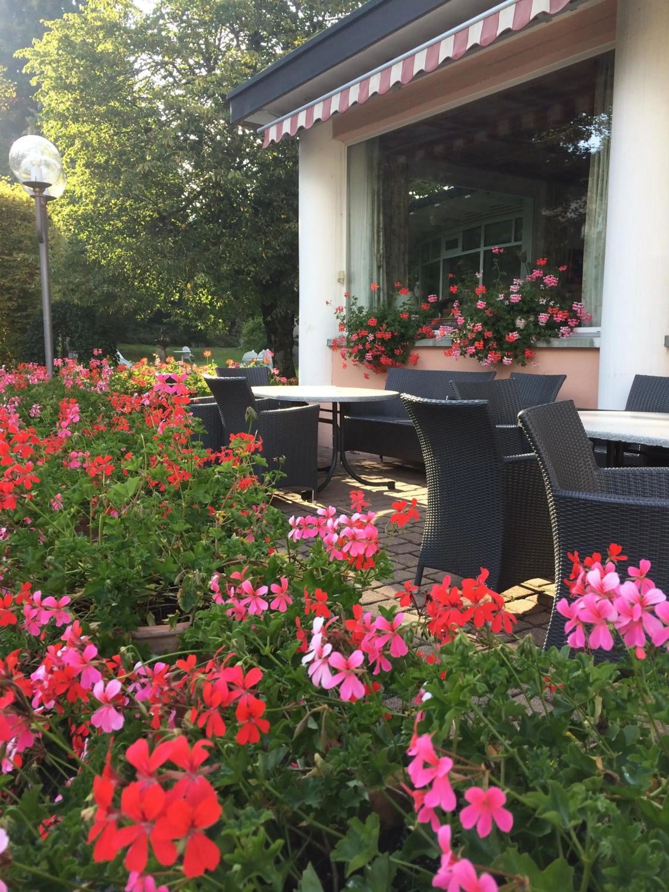 Facade/entrance in Hotel Cresta