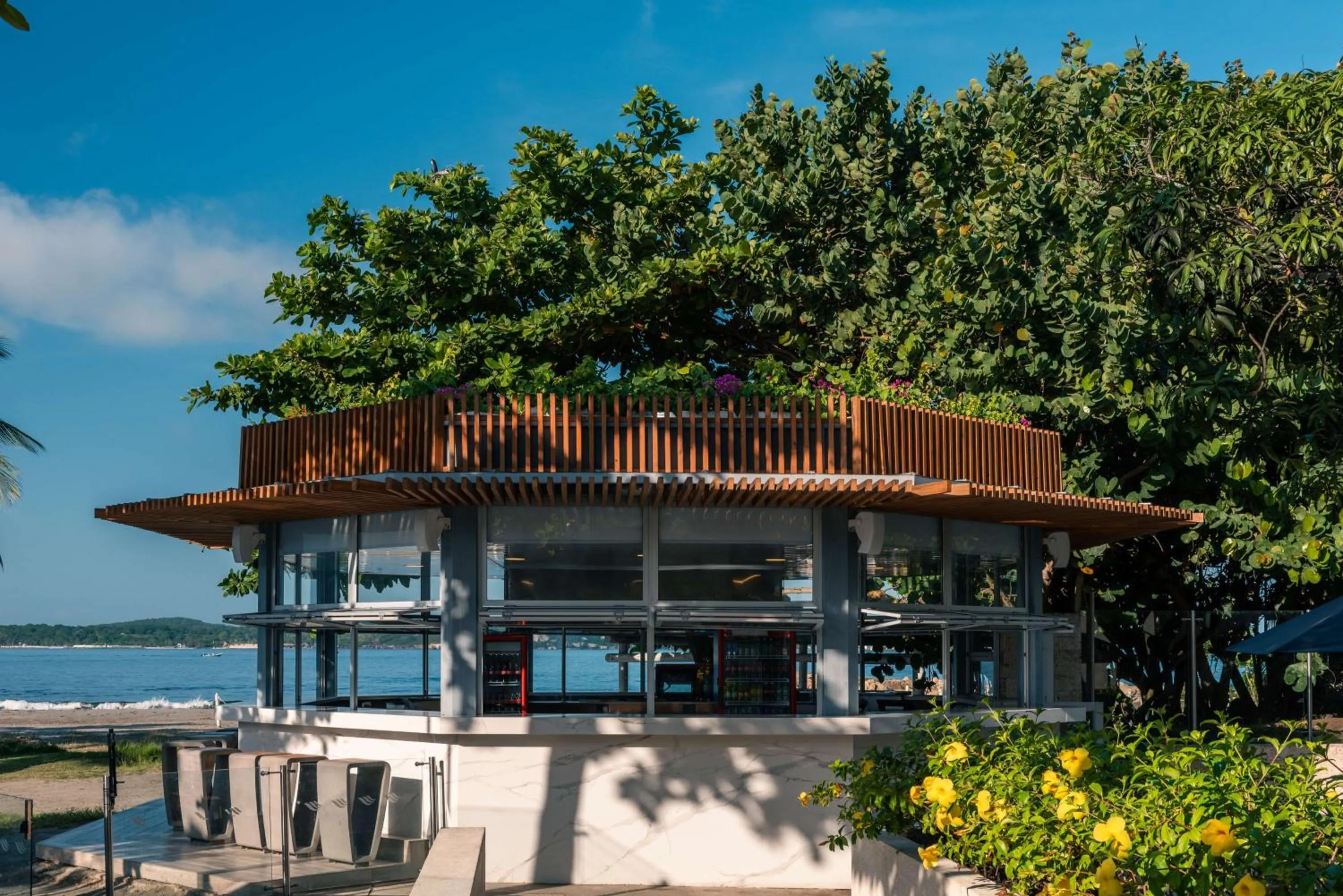 Lounge or bar in Hilton Cartagena