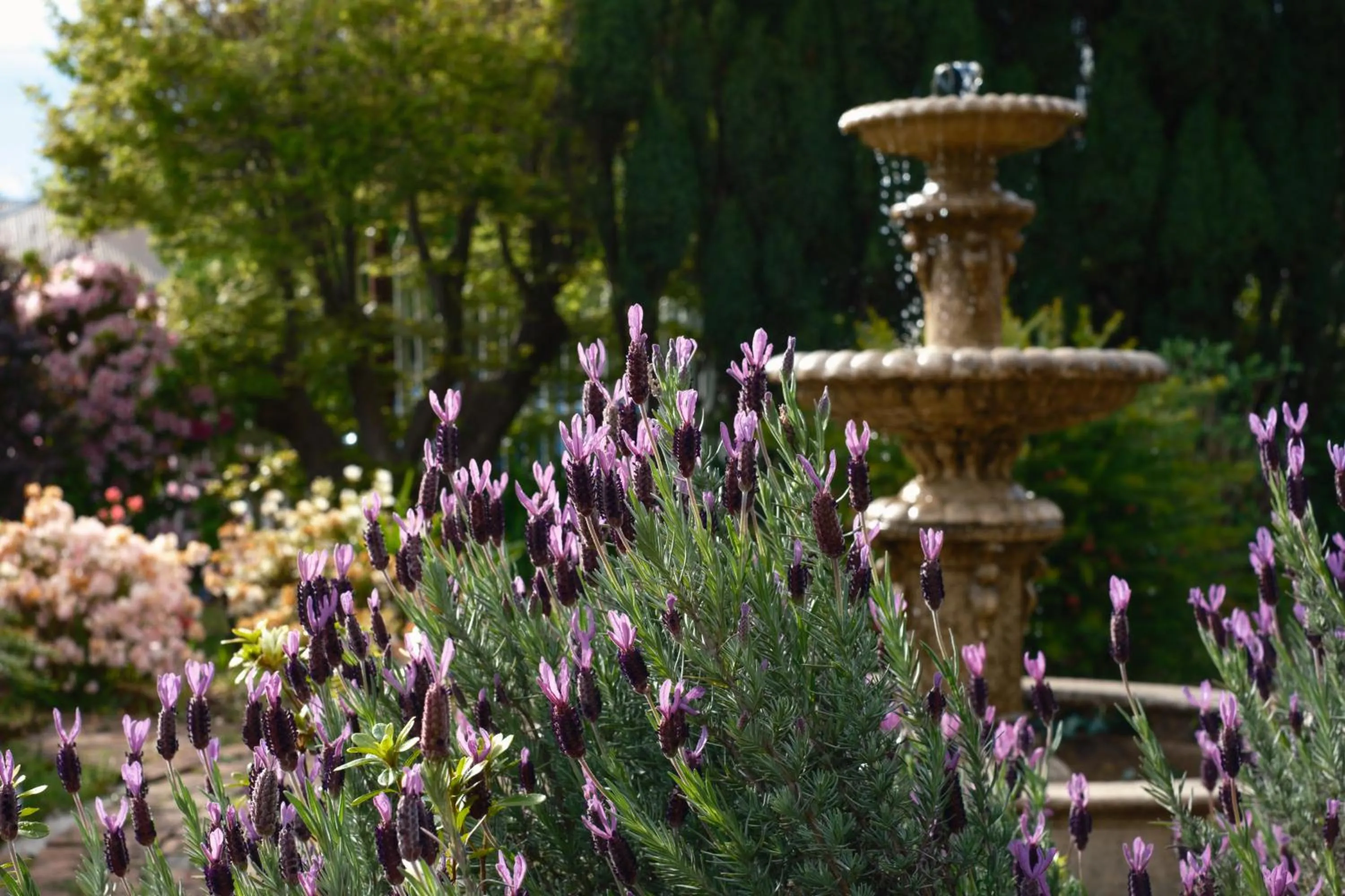 La Maison Boutique Hotel