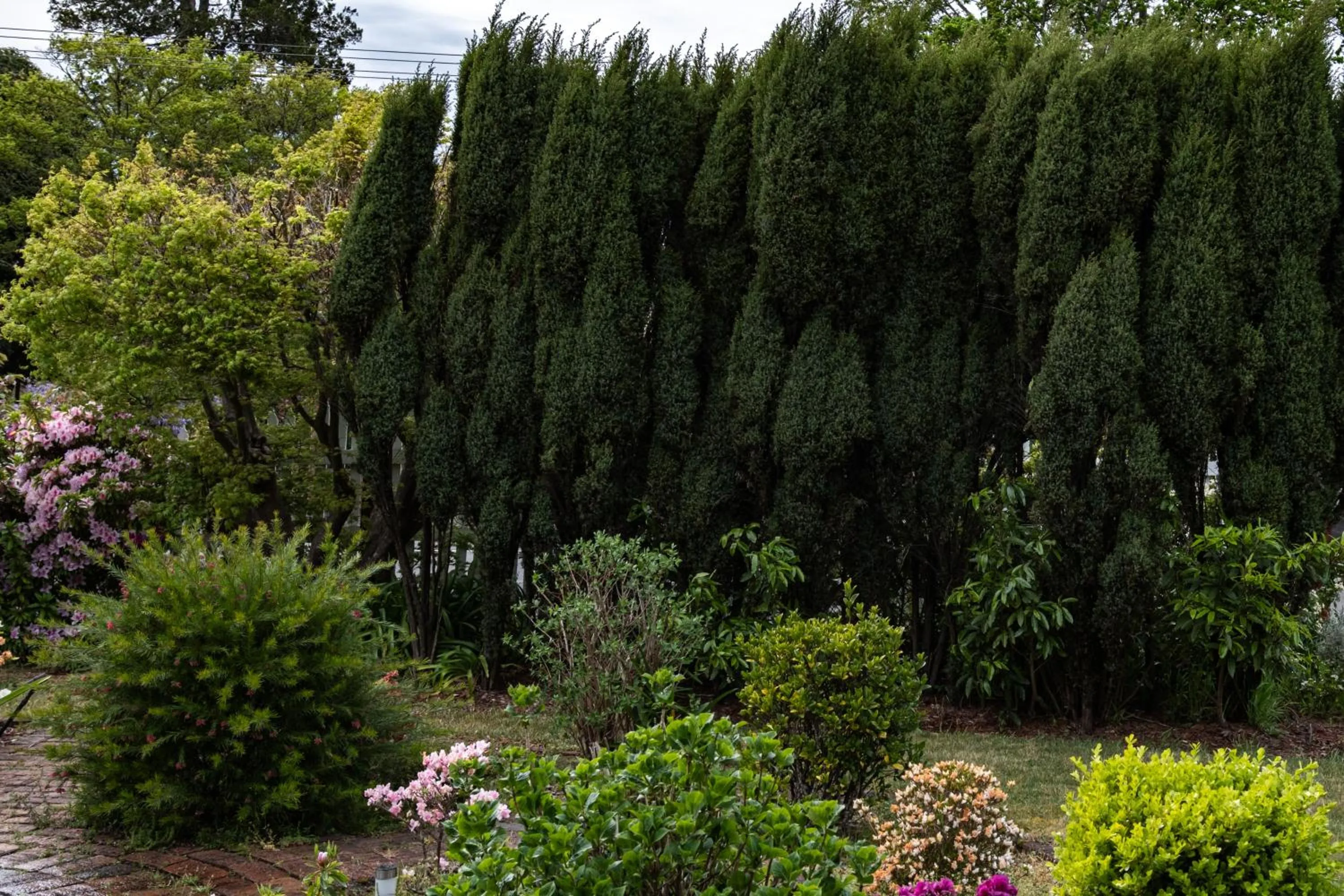 La Maison Boutique Hotel