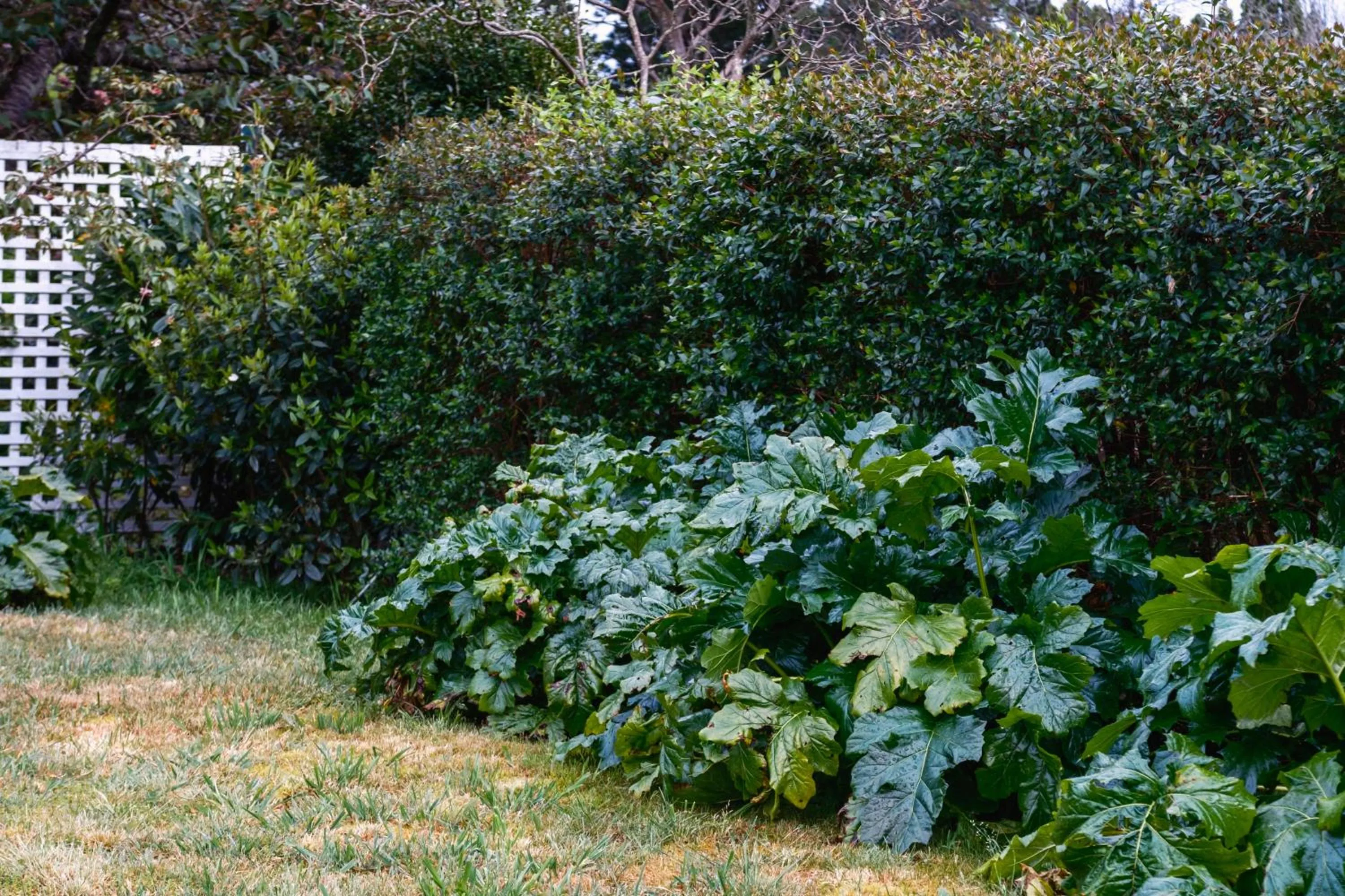 La Maison Boutique Hotel