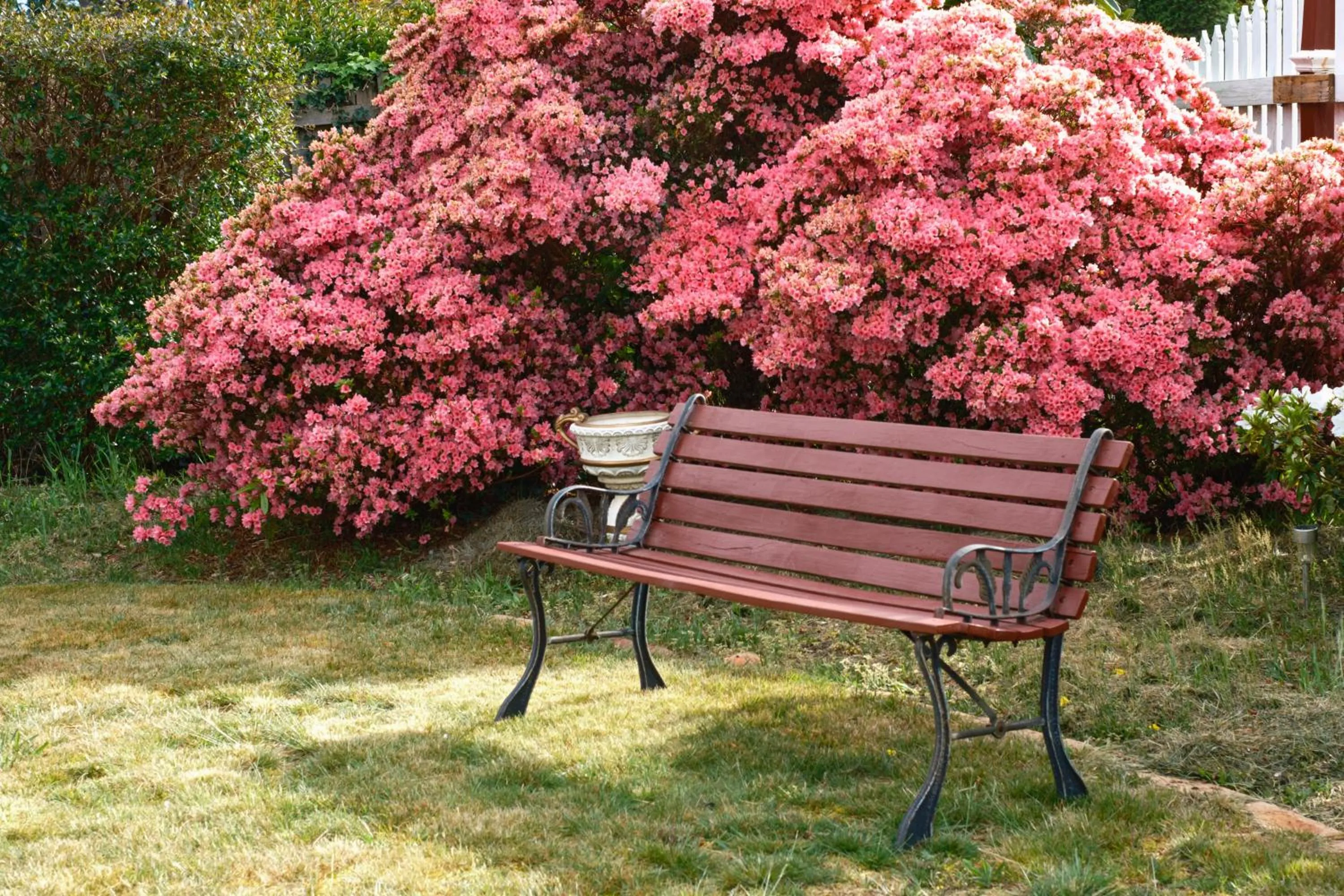 La Maison Boutique Hotel