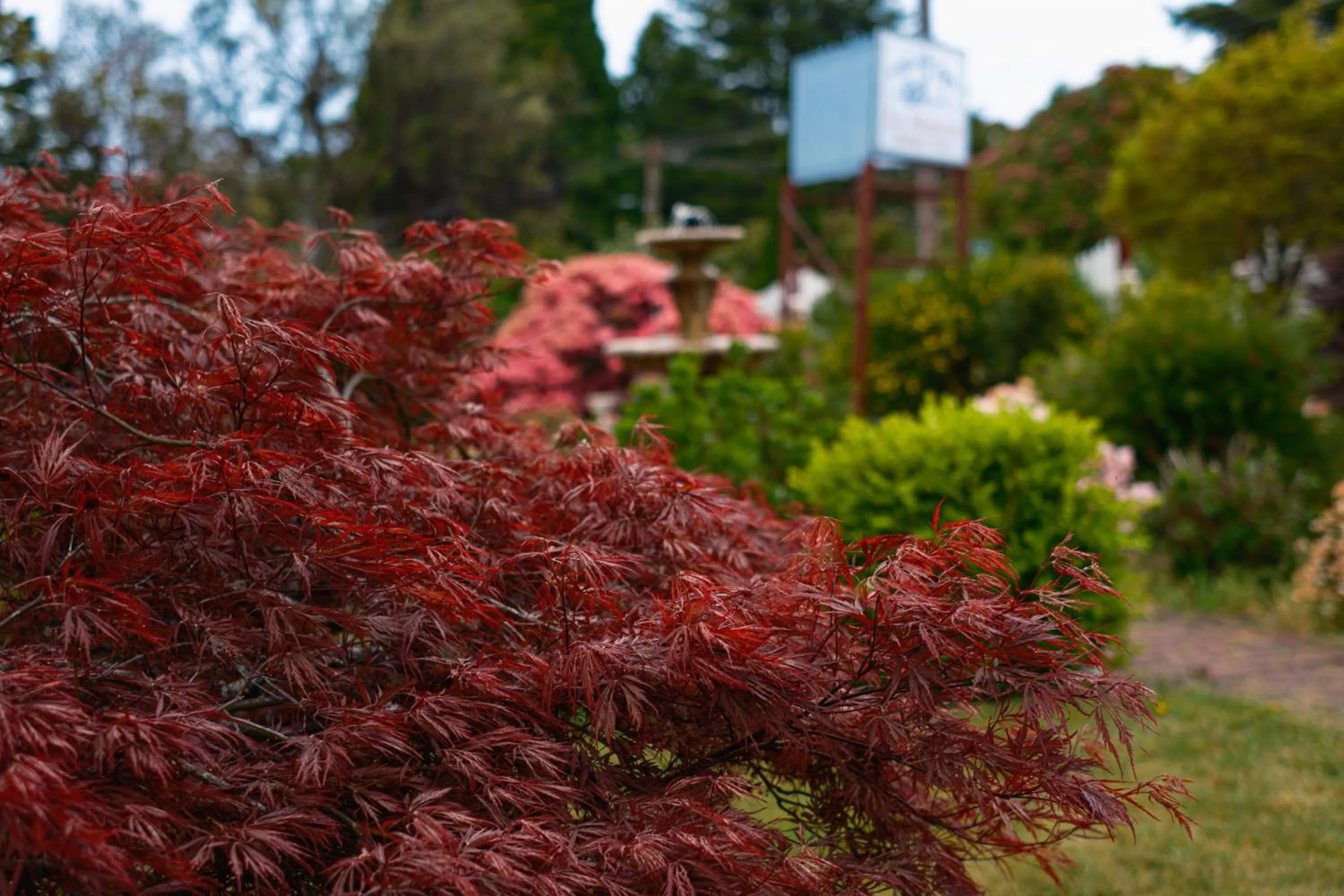 La Maison Boutique Hotel