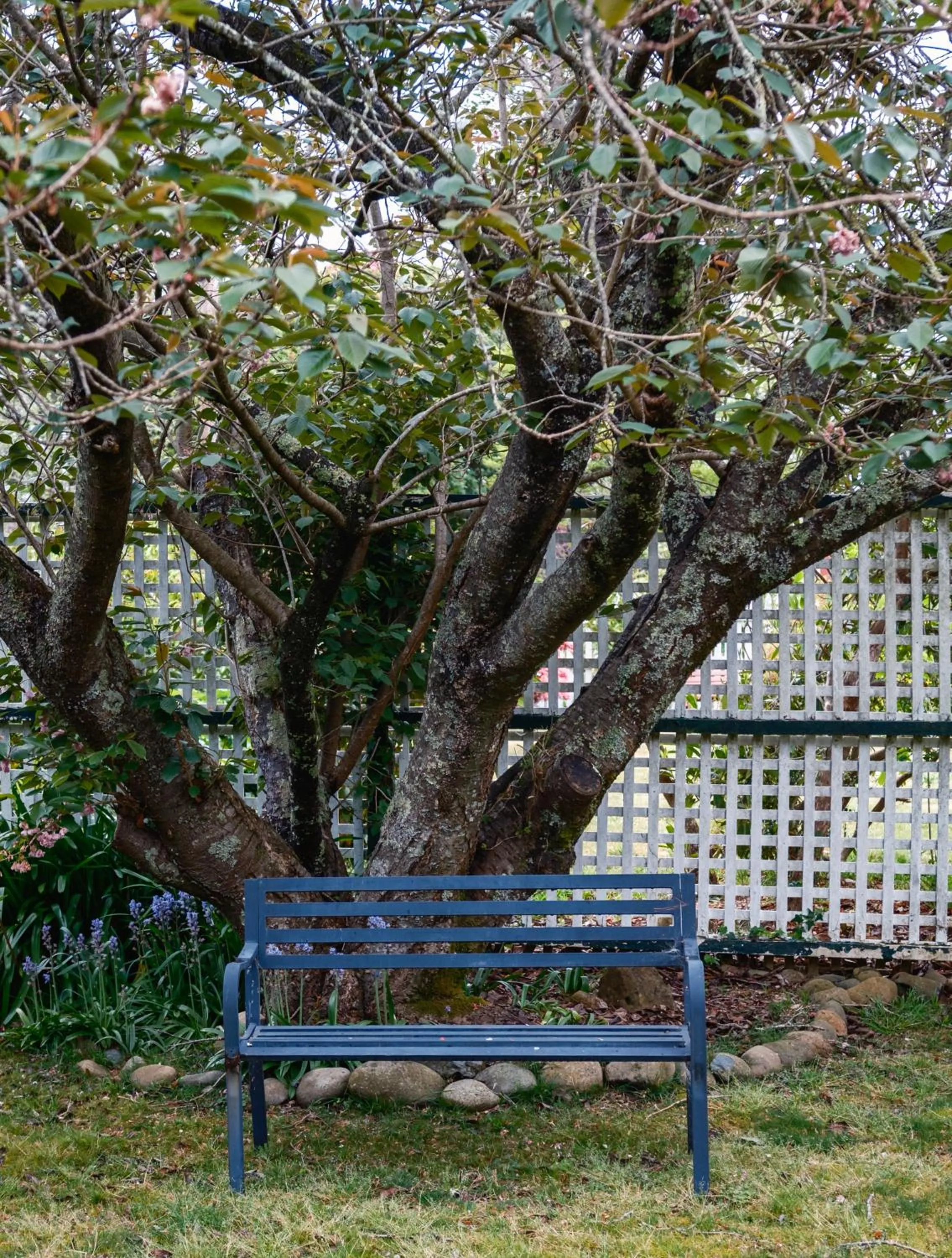 La Maison Boutique Hotel