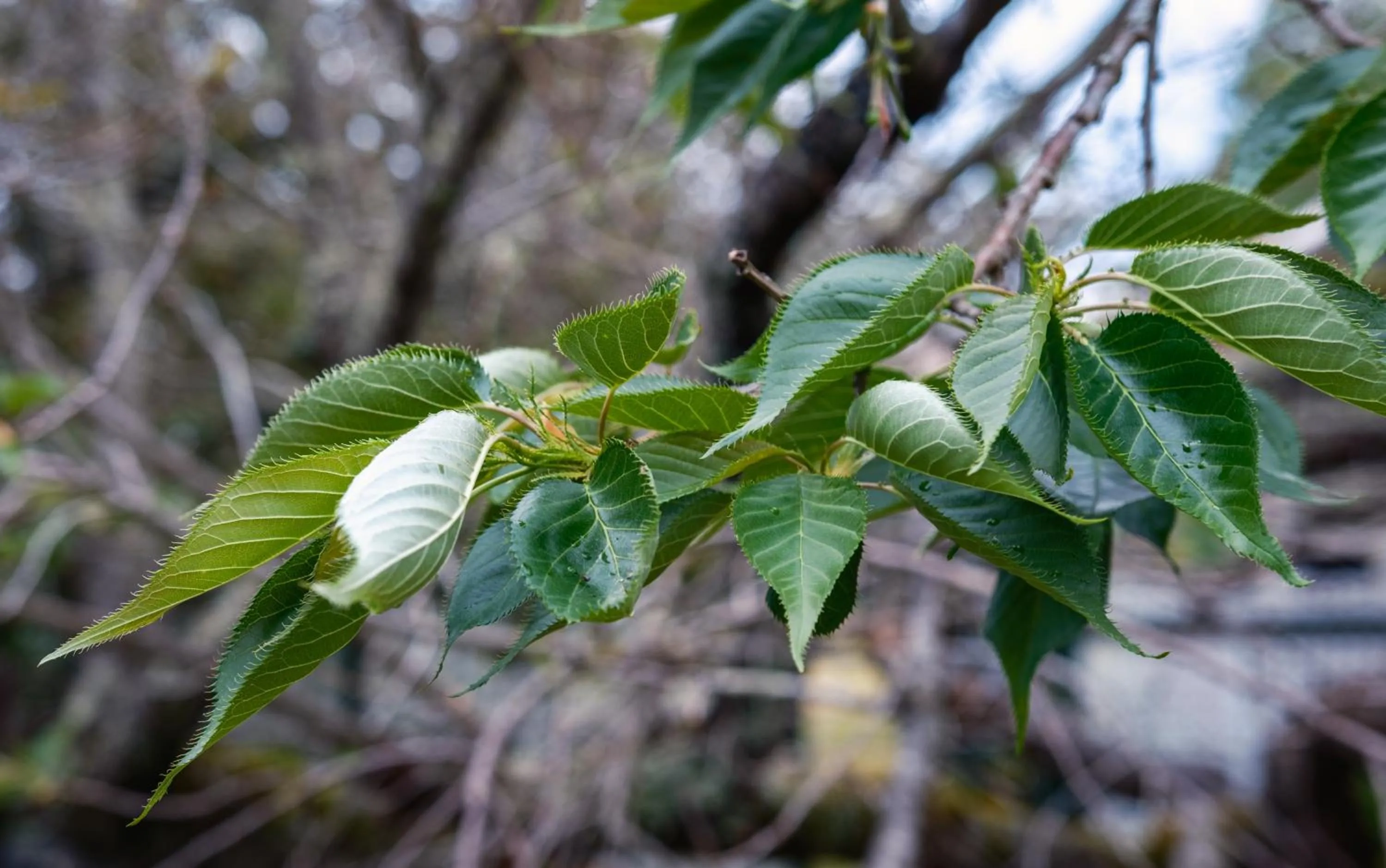 La Maison Boutique Hotel