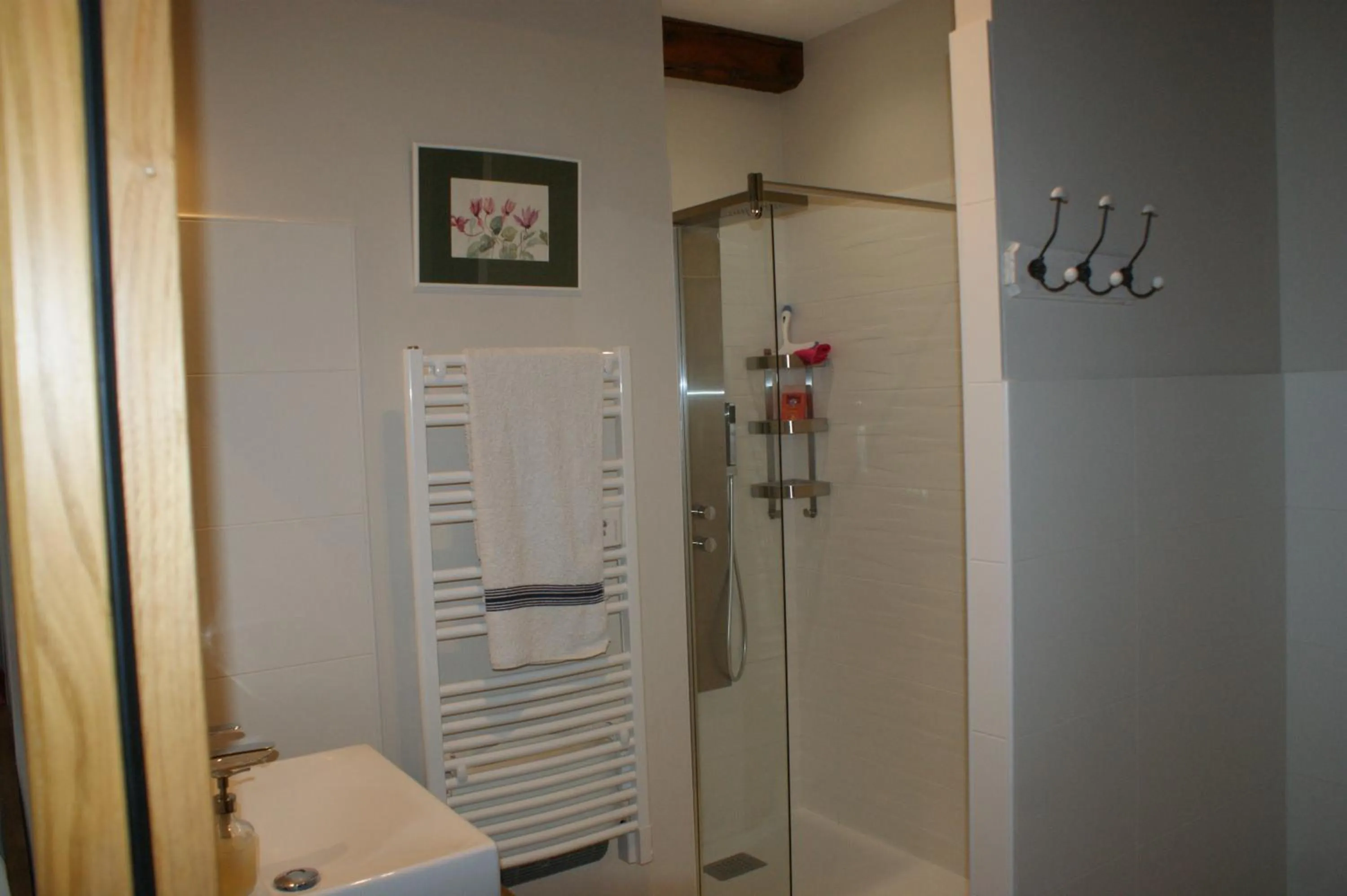 Shower in Les FREJALS