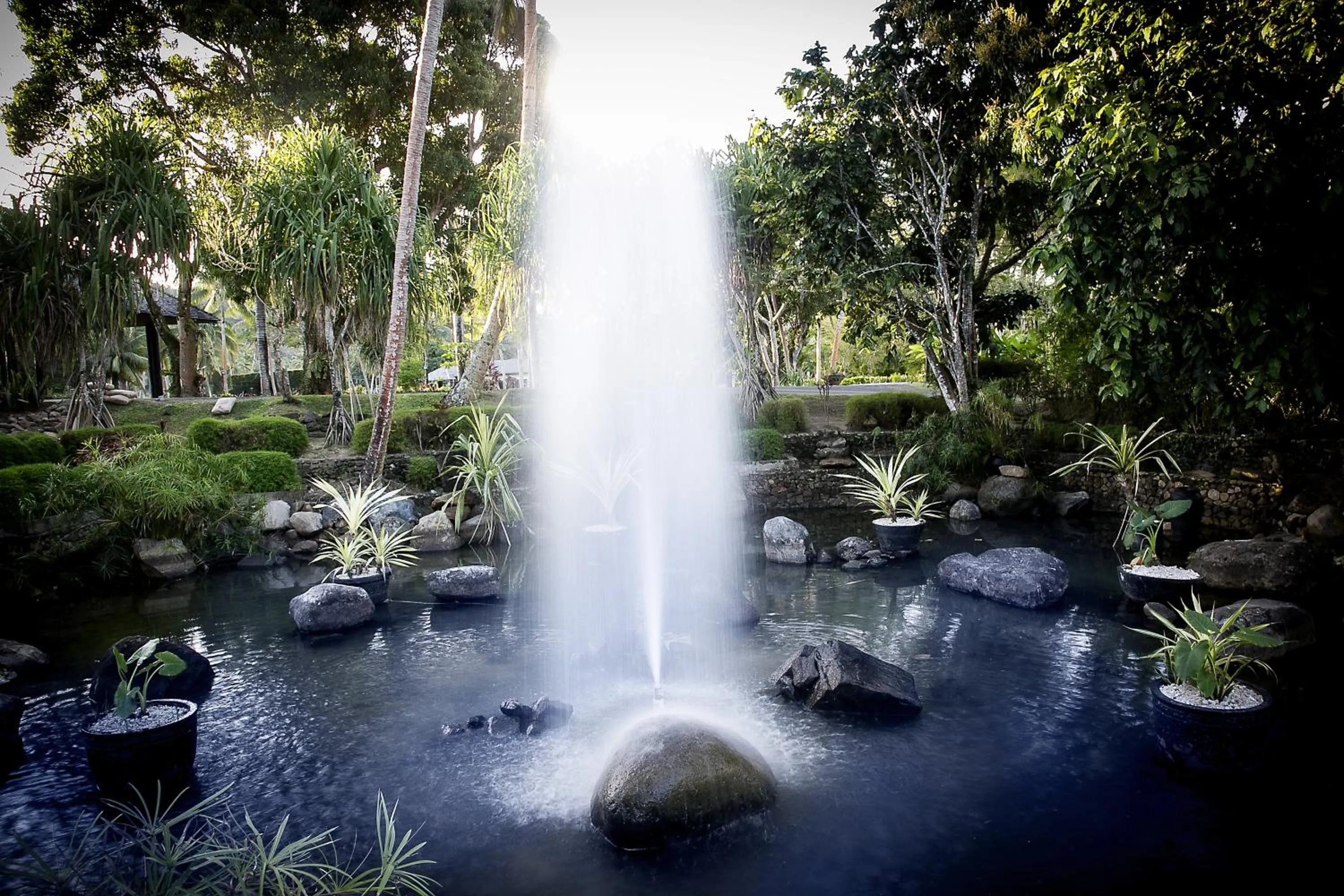Garden in The Naviti Resort