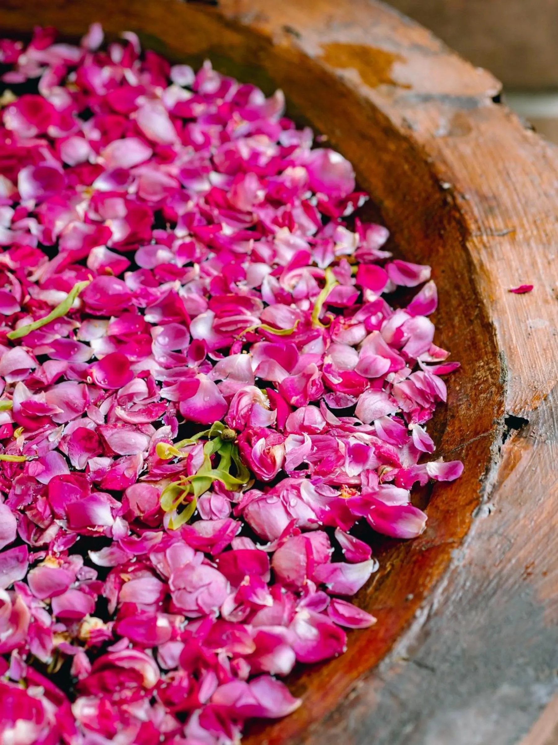 Decorative detail in Hotel Tugu Malang