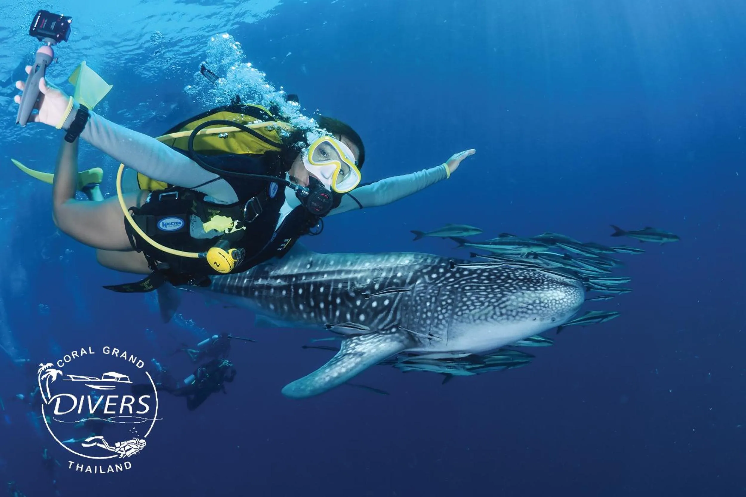 Diving in Koh Tao Coral Grand Resort