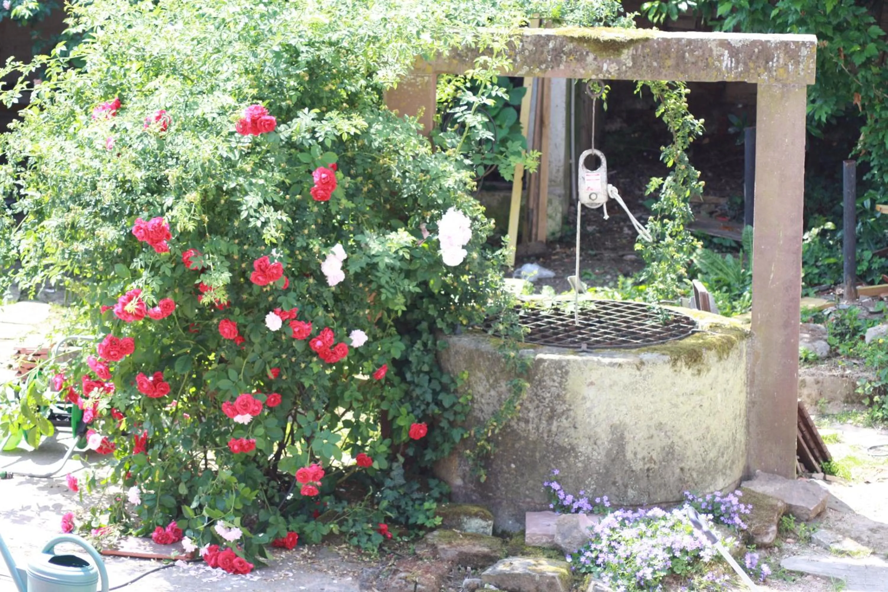 Property building in La Grange aux Coqs